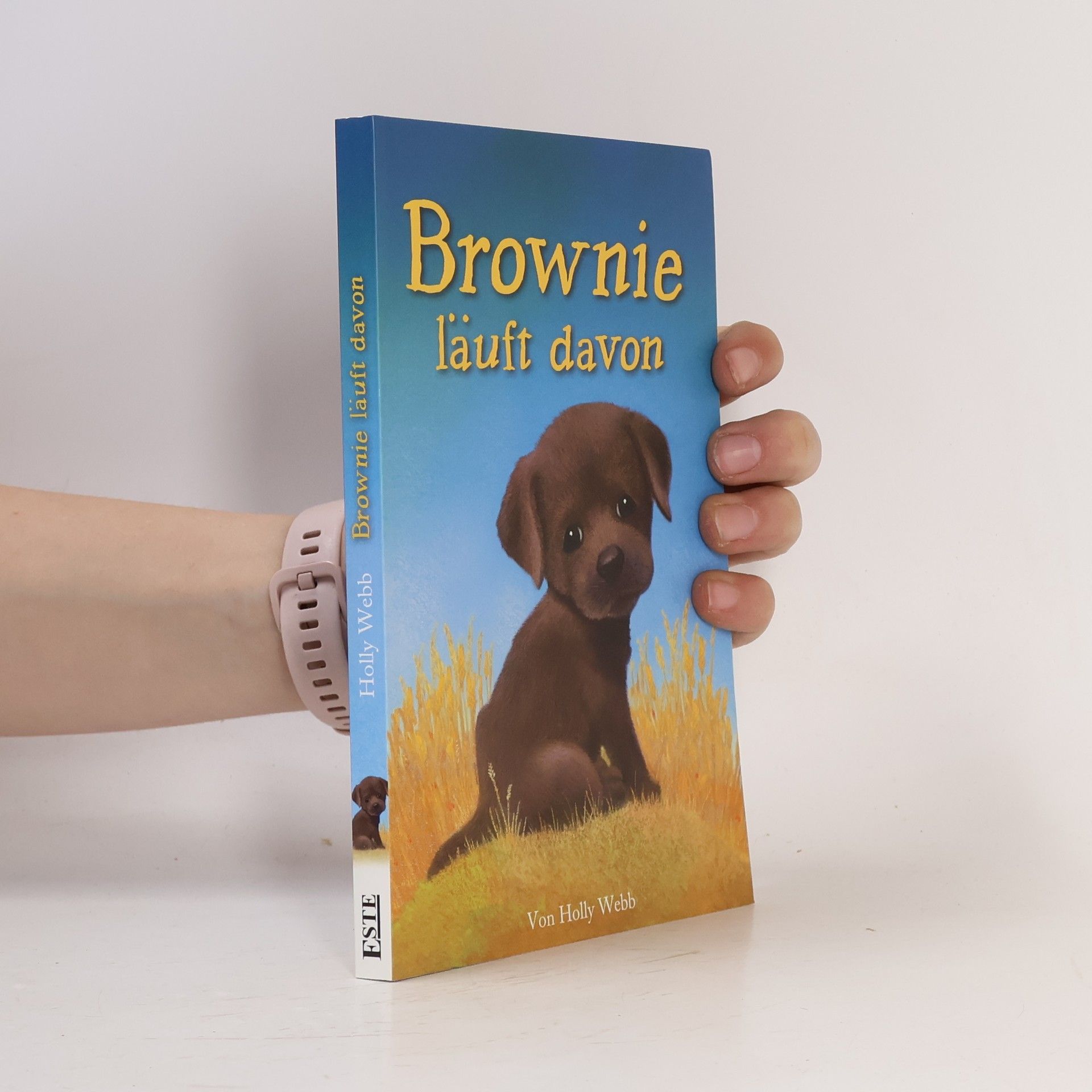 Holly Webb Brownie läuft davon