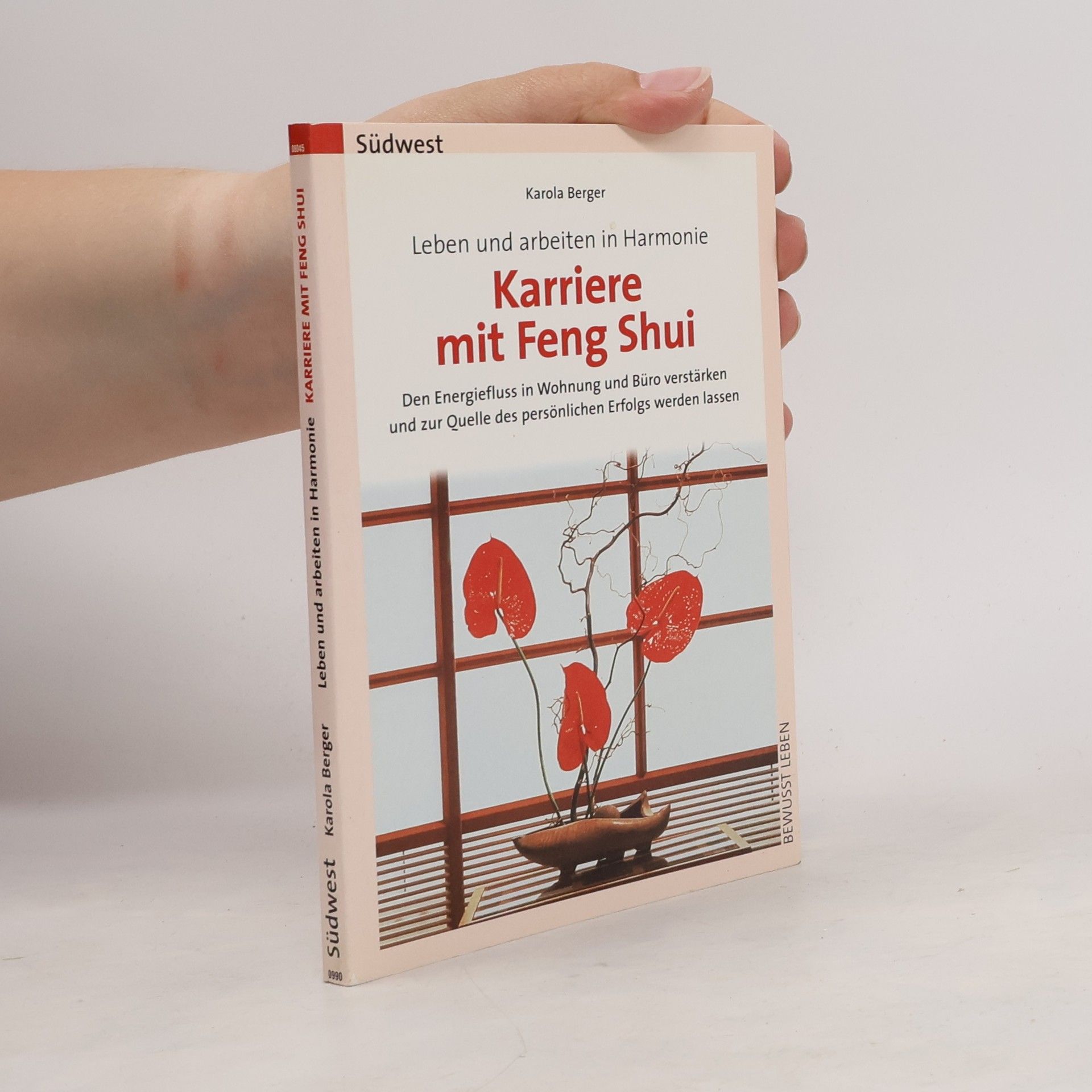 Karriere mit Feng Shui
