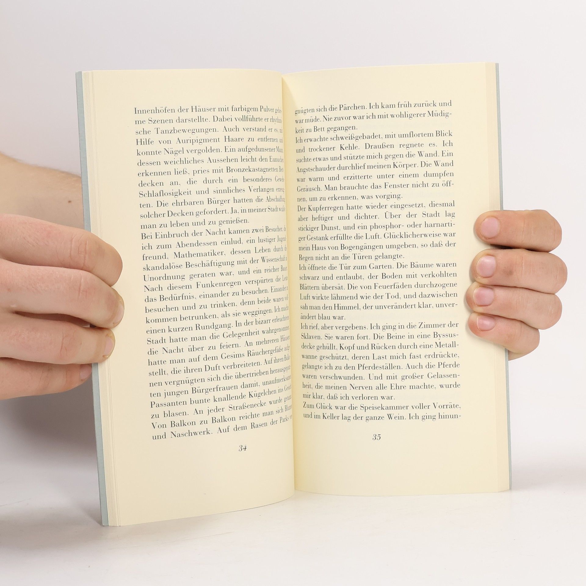 Leopoldo Lugones Die Bibliothek von Babel - 15: Die Salzsäule