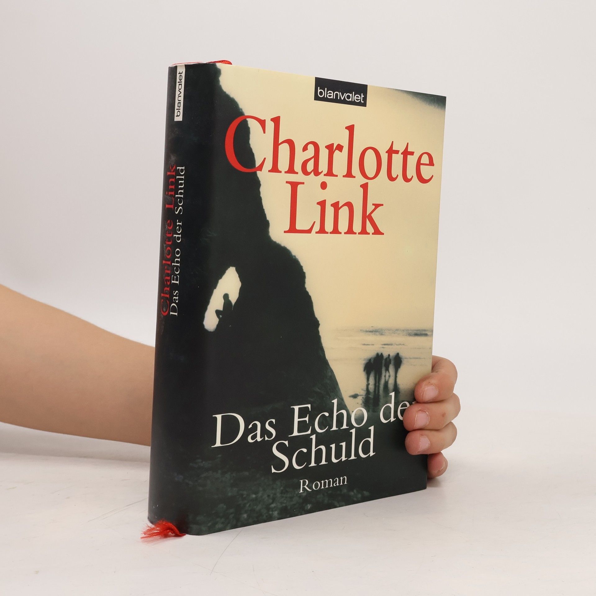 Charlotte Link Das Echo der Schuld