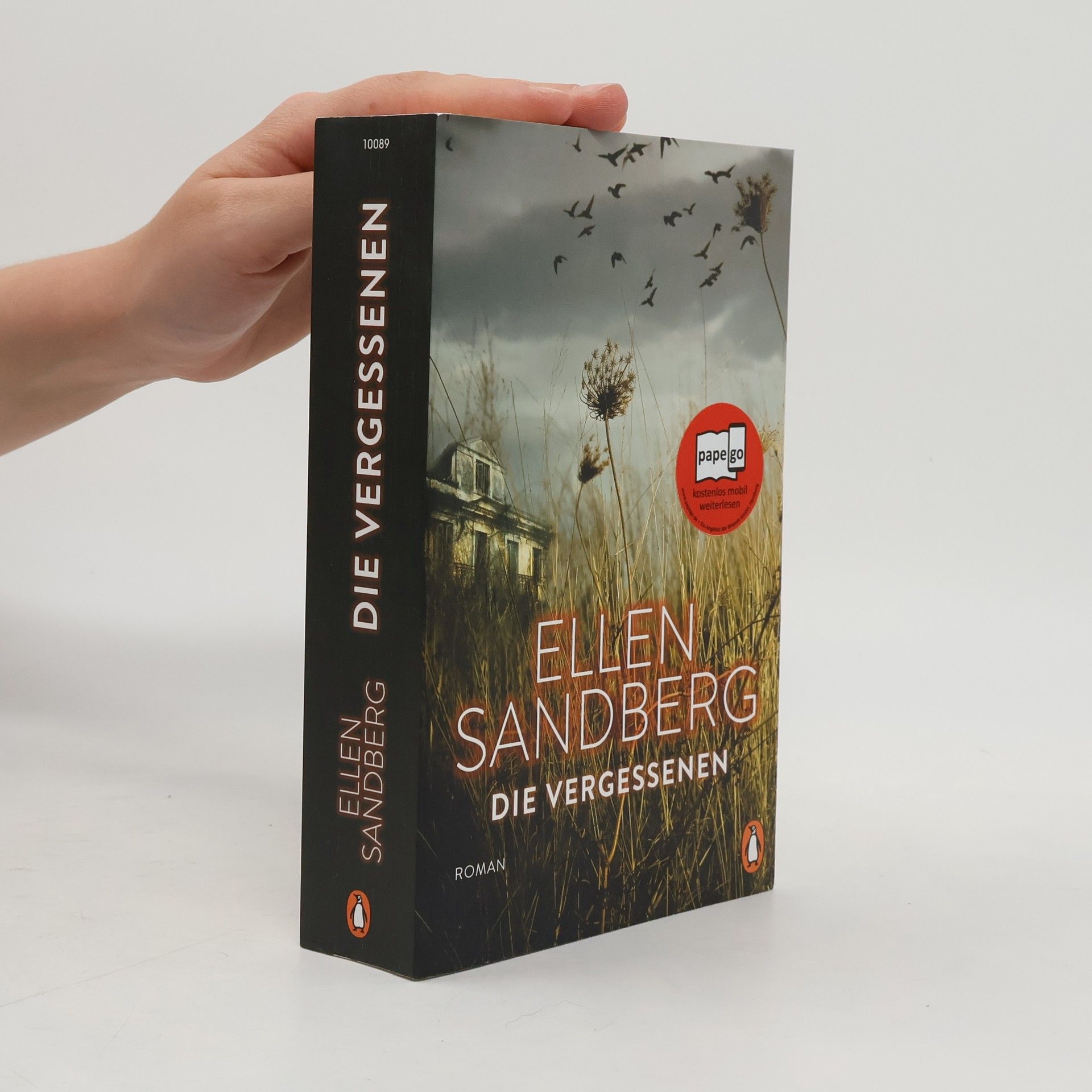 Ellen Sandberg Die Vergessenen