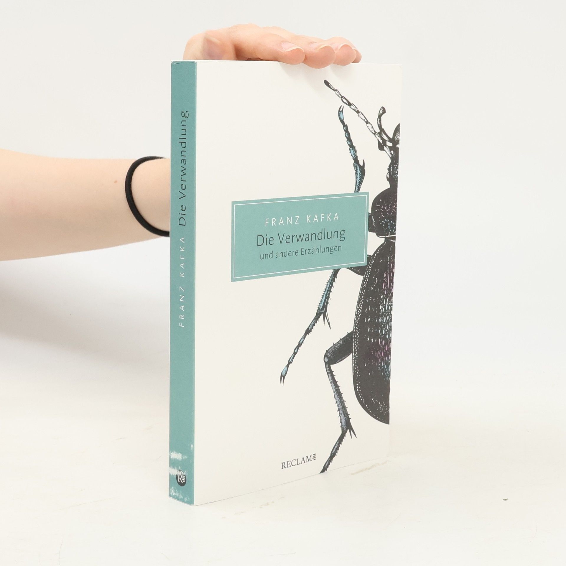 Autores varios Die Verwandlung und andere Erzählungen