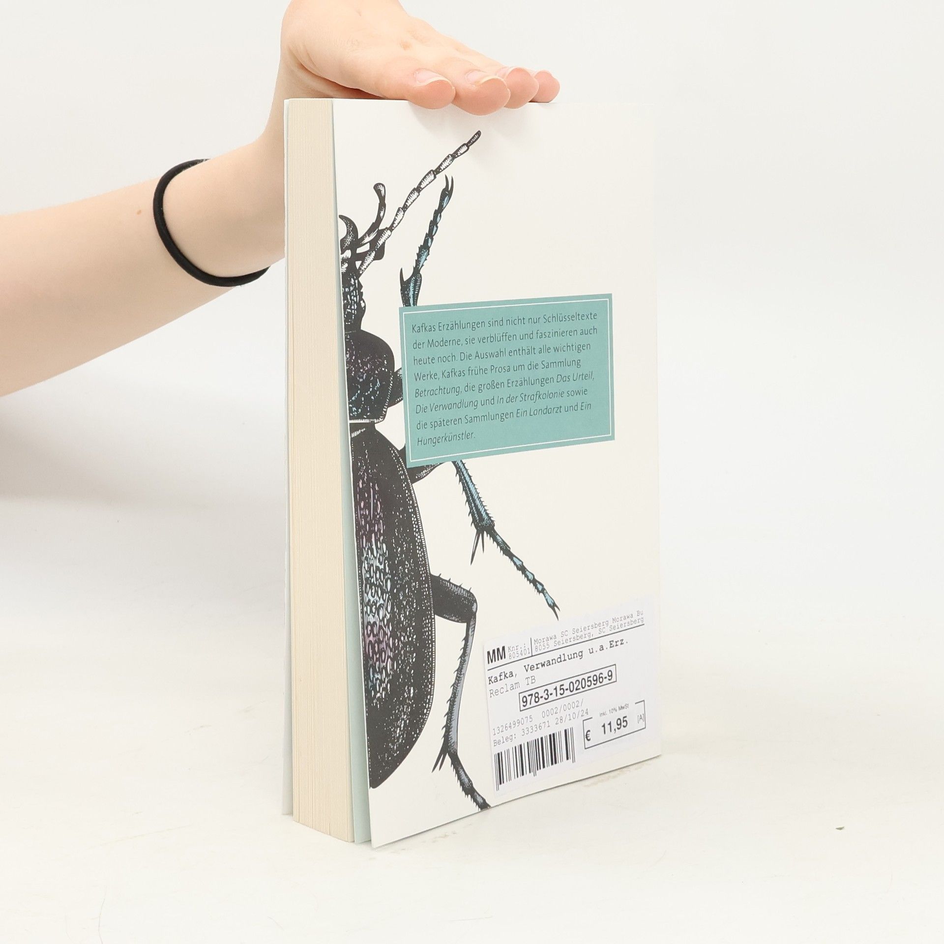 Autores varios Die Verwandlung und andere Erzählungen