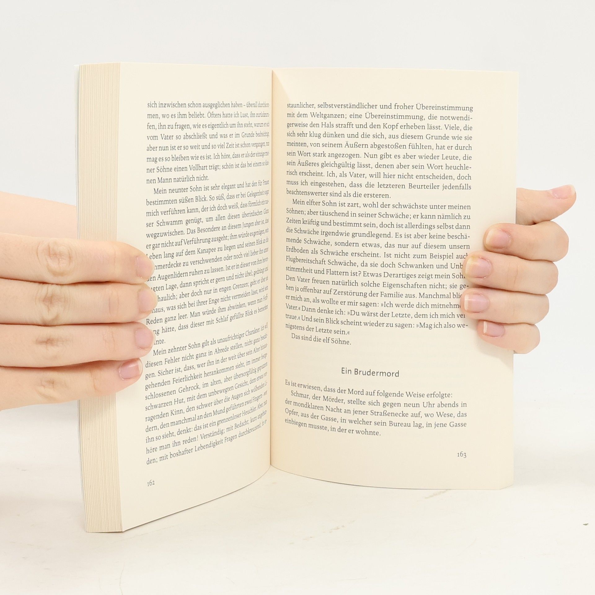 Autores varios Die Verwandlung und andere Erzählungen