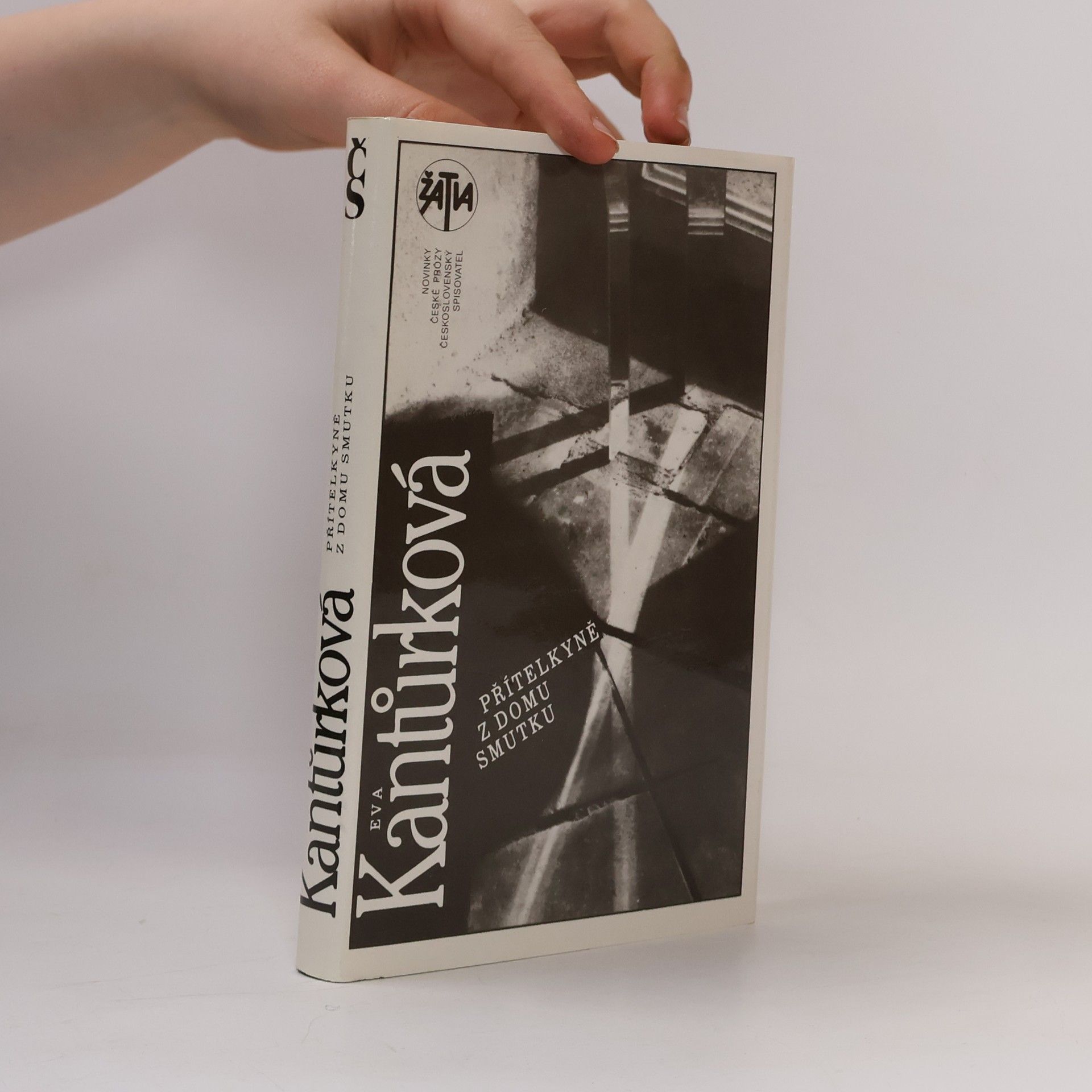 Eva Kantůrková Přítelkyně z domu smutku