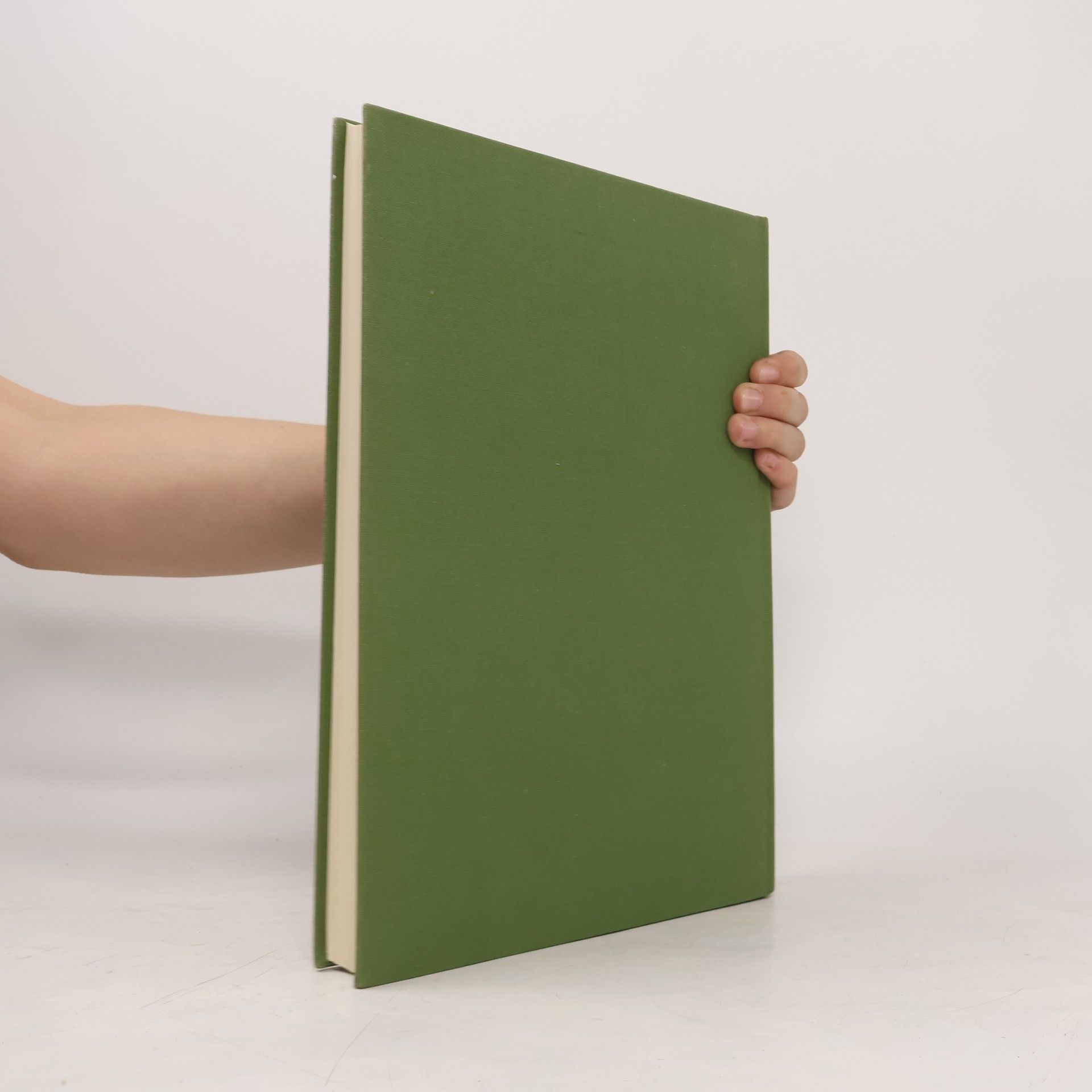 Jens Lüning Forschungen und Berichte zur Vor- und Frühgeschichte in Baden-Württemberg - 8: Die Schussenrieder Siedlung im „Schlößlesfeld“