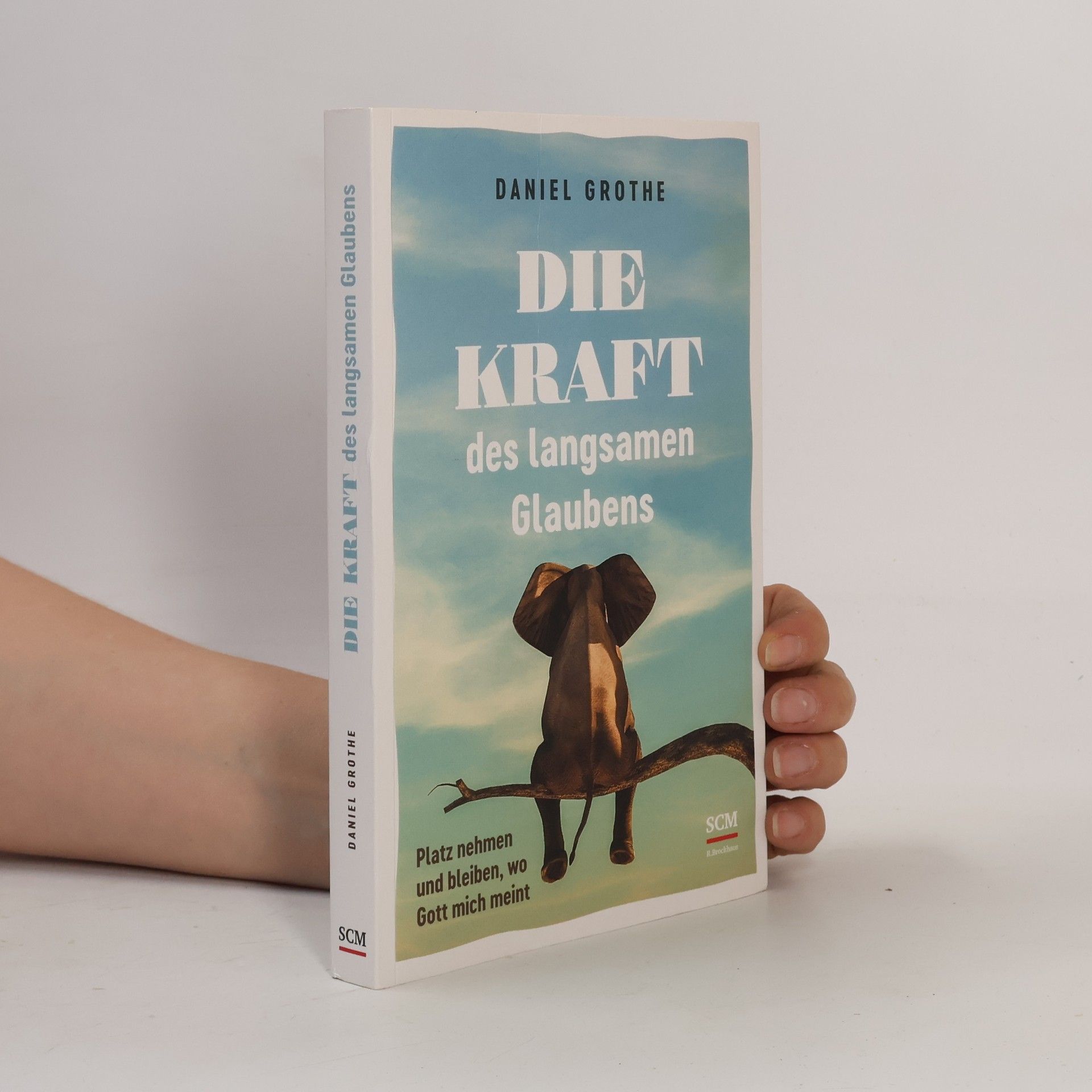 Daniel Grothe Die Kraft des langsamen Glaubens. Platz nehmen und bleiben, wo Gott mich meint