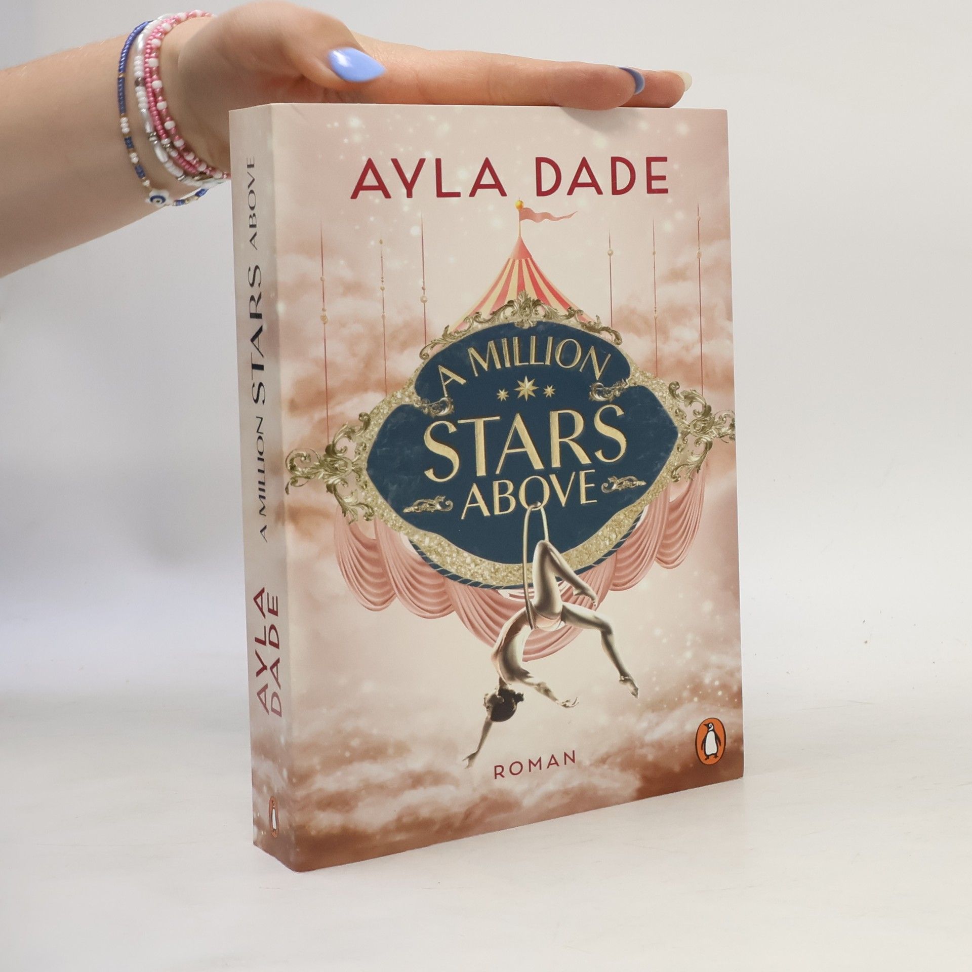 Ayla Dade A Million Stars Above / Sky Circus Bd.1