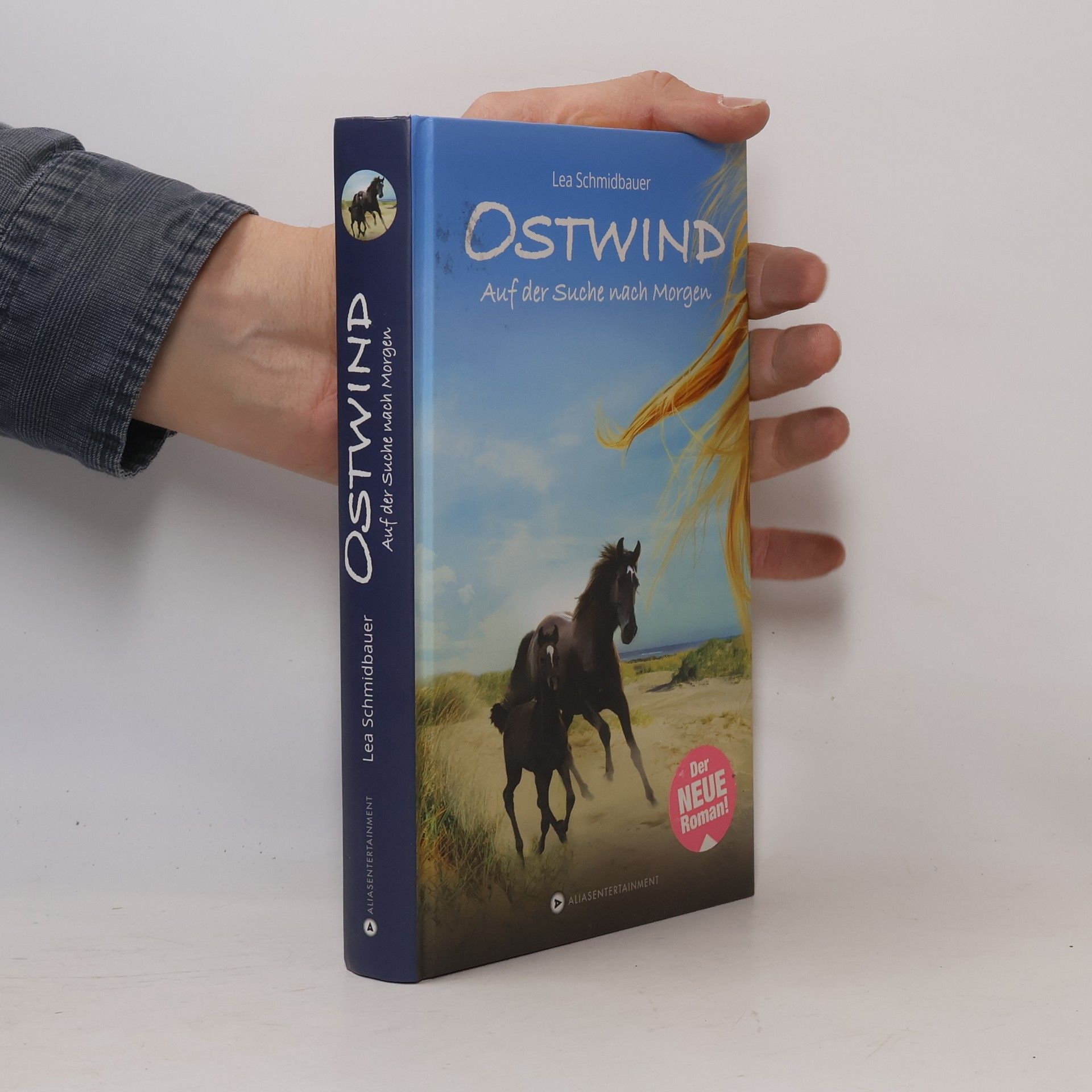 Ostwind - auf der Suche nach Morgen