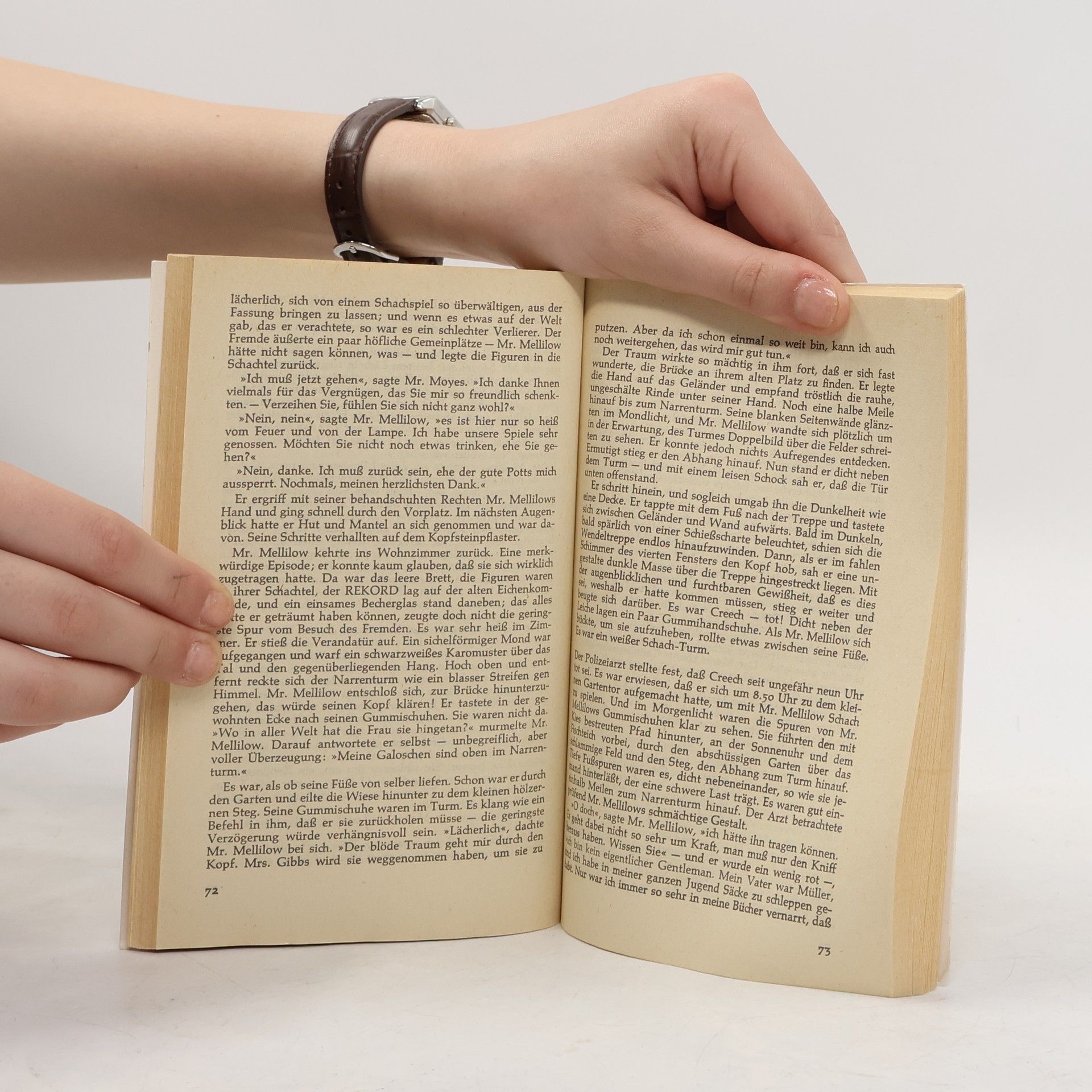 Dorothy L. Sayers Lord Peter und der Narrenturm