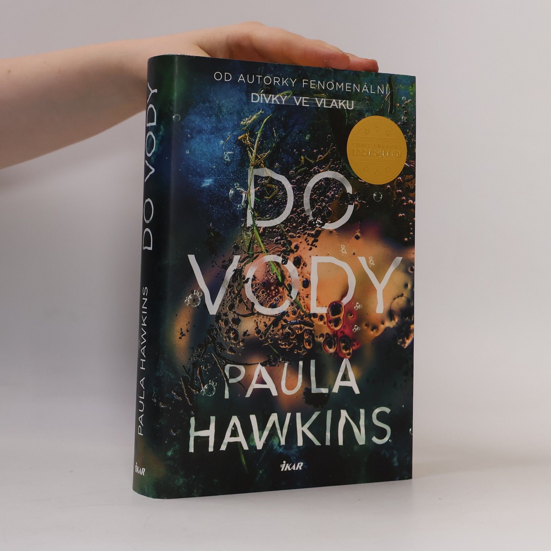 Paula Hawkins Do vody
