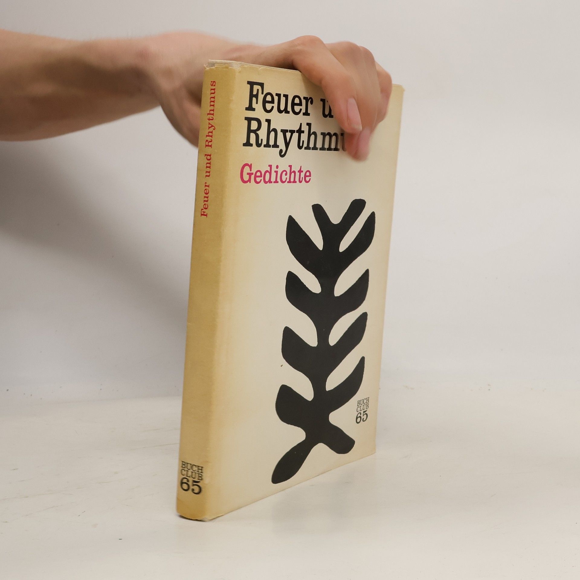 Autorenkollektiv Feuer und Rhythmus