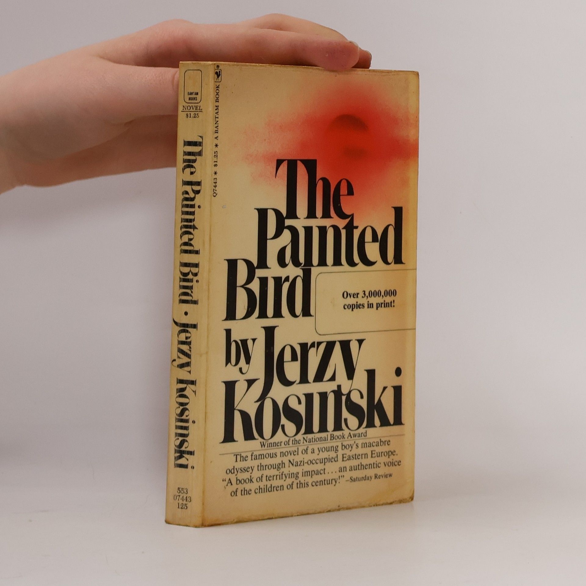 Jerzy Kosiński The Painted Bird