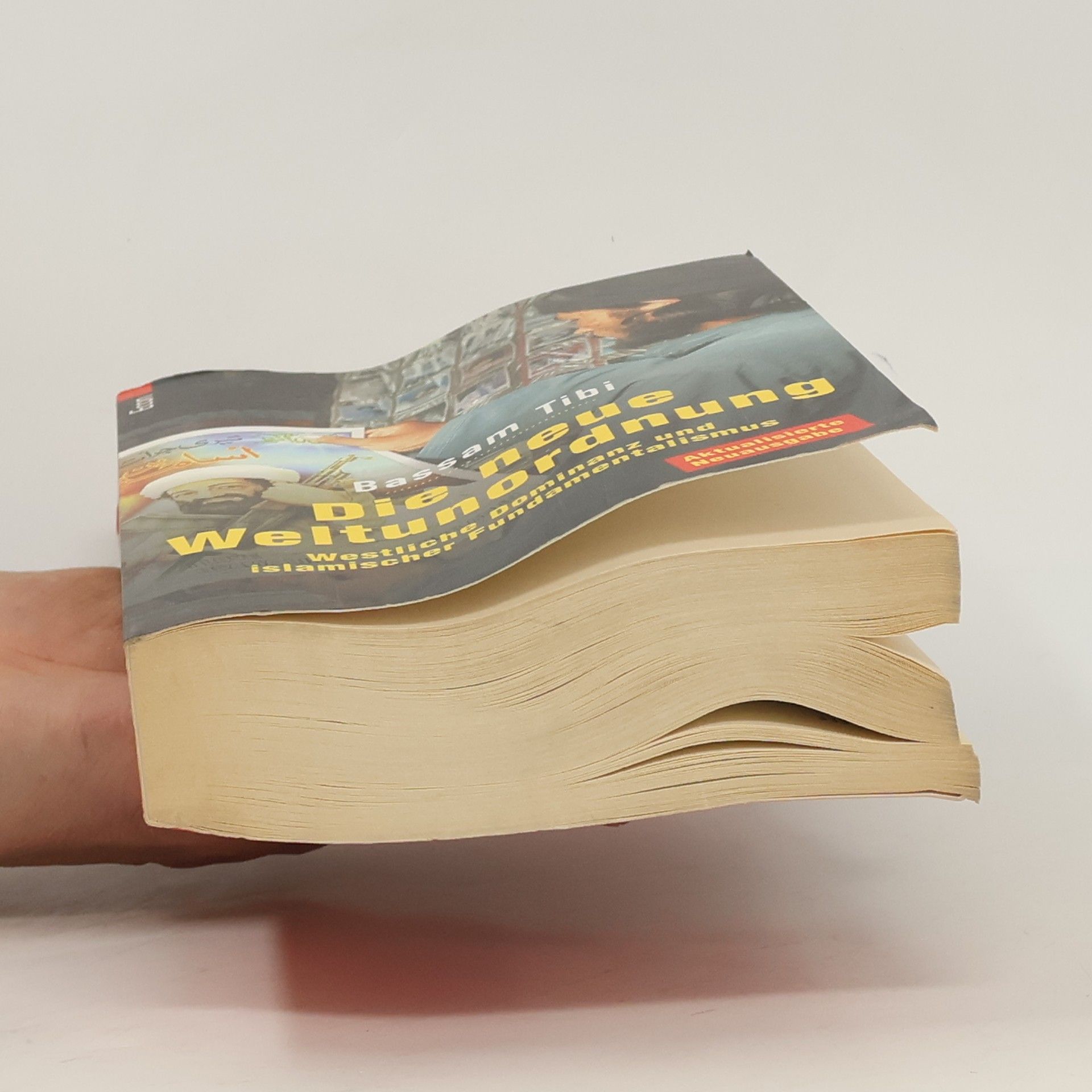 Bassām Ṭībī Die neue Weltunordnung
