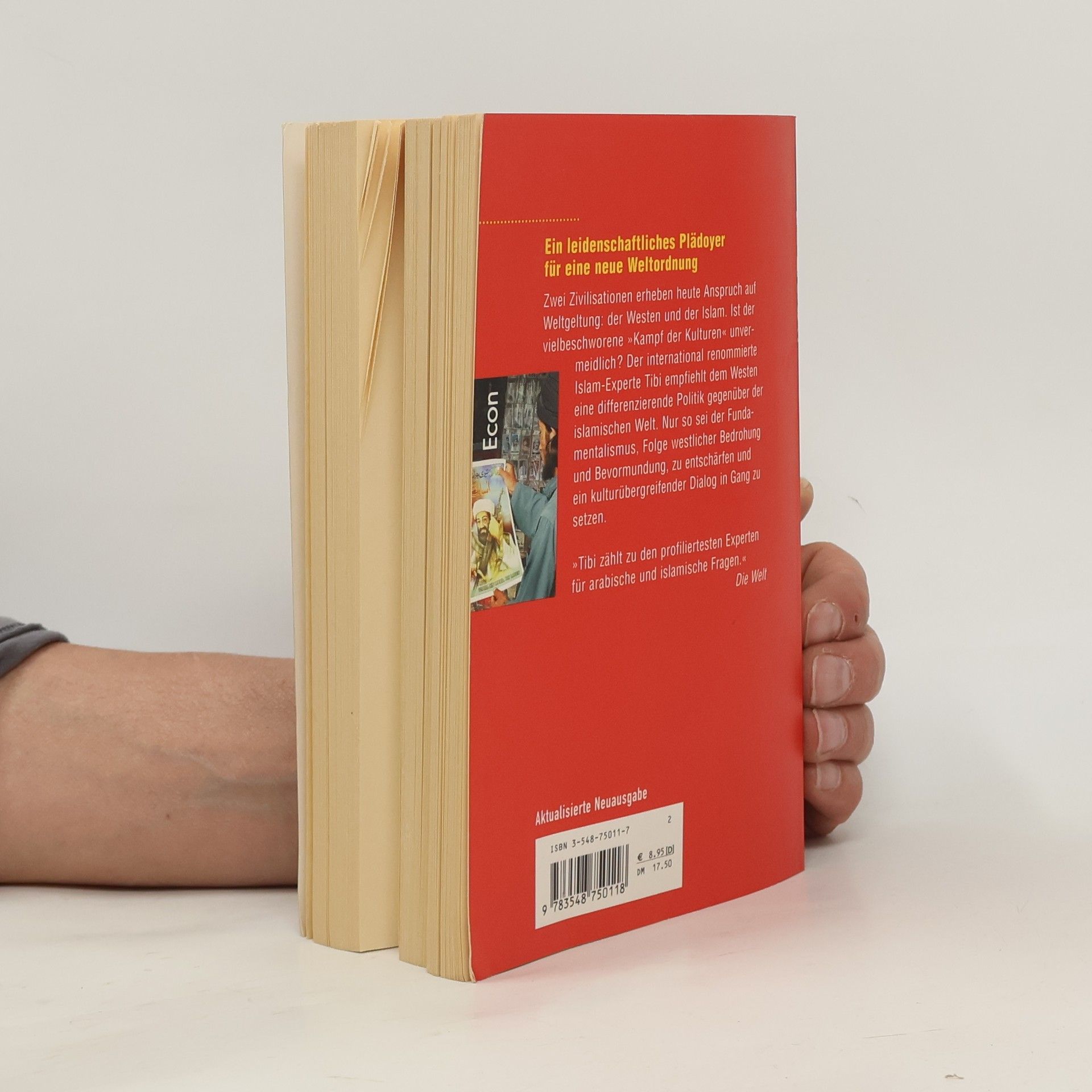 Bassām Ṭībī Die neue Weltunordnung