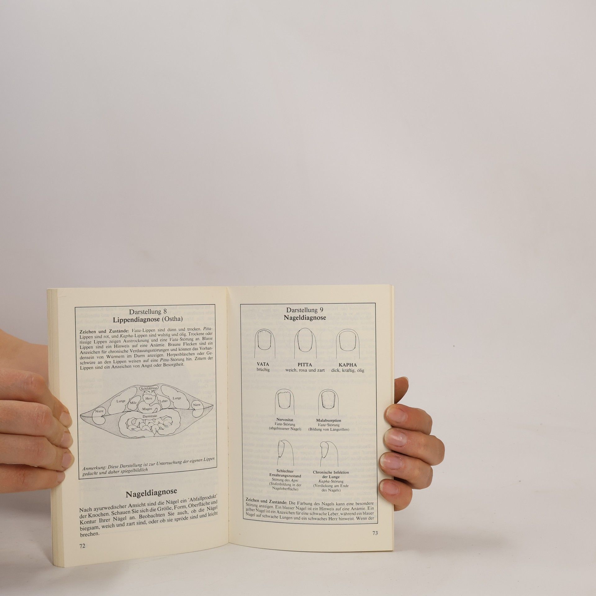 Vasant Lad Das Ayurweda-Heilbuch