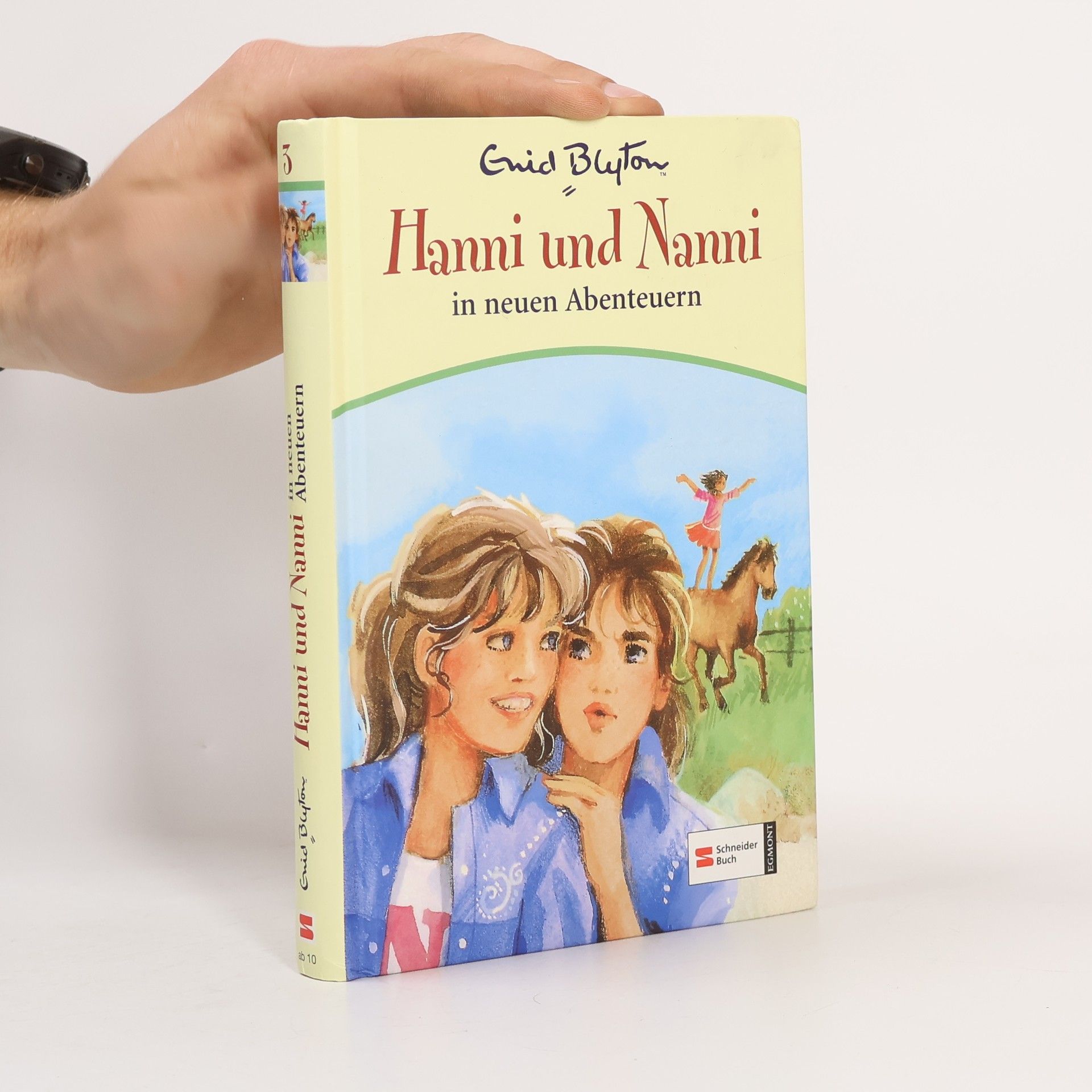 Enid Blyton Hanni und Nanni in neuen Abenteuern