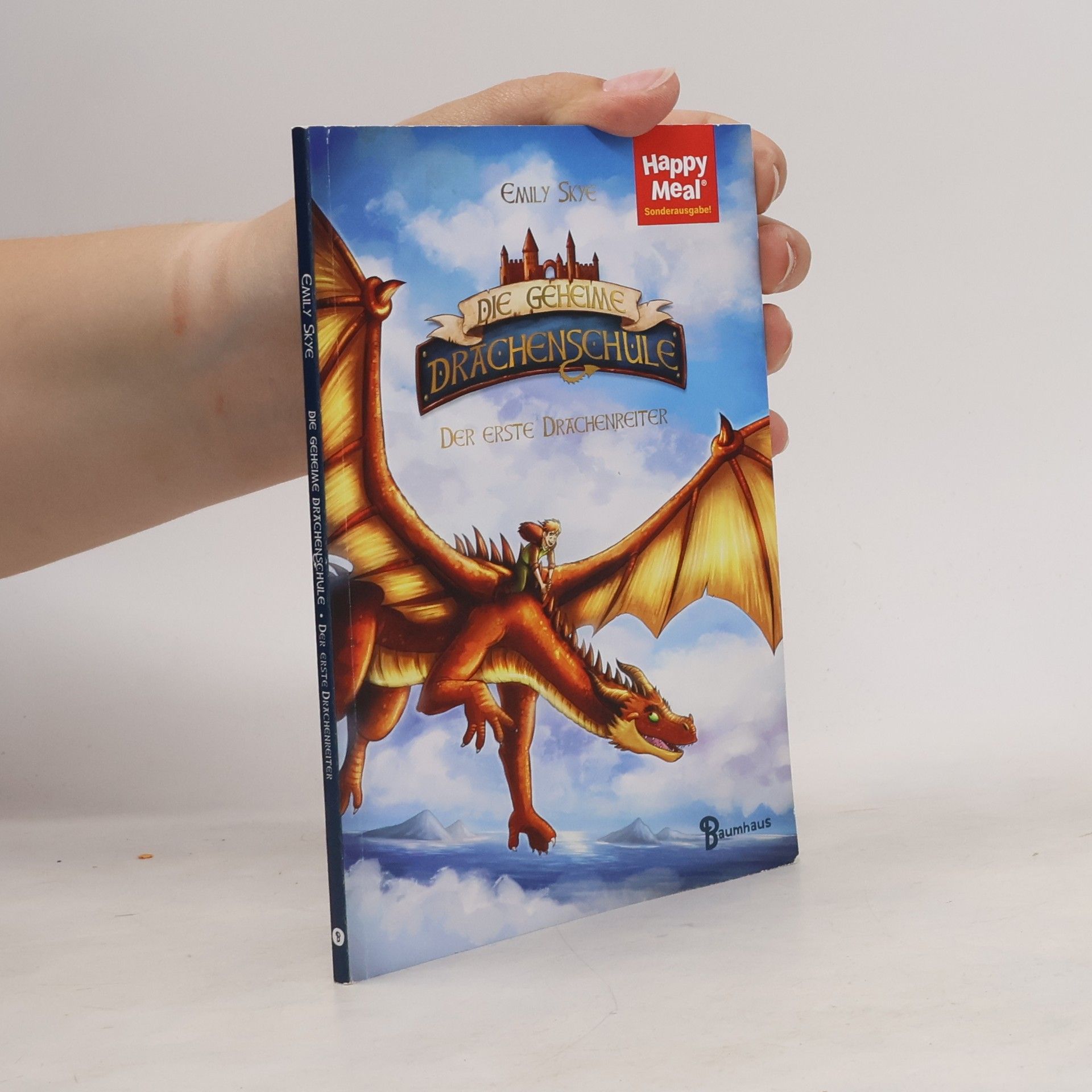 Emily Skye Die geheime Drachenschule. Der erste Drachenreiter