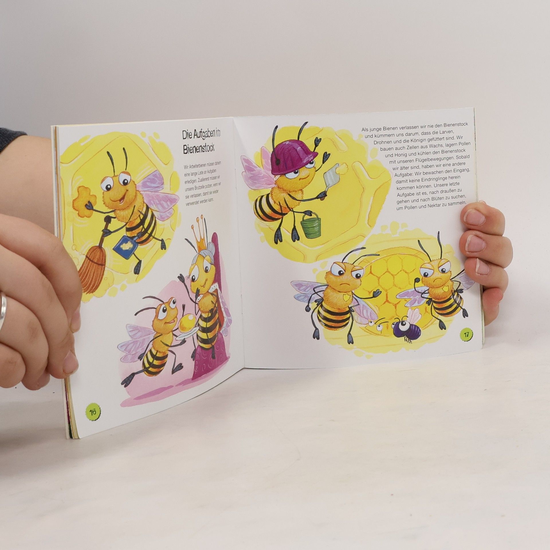 Alejandro Algarra Wir entdecken die Bienen