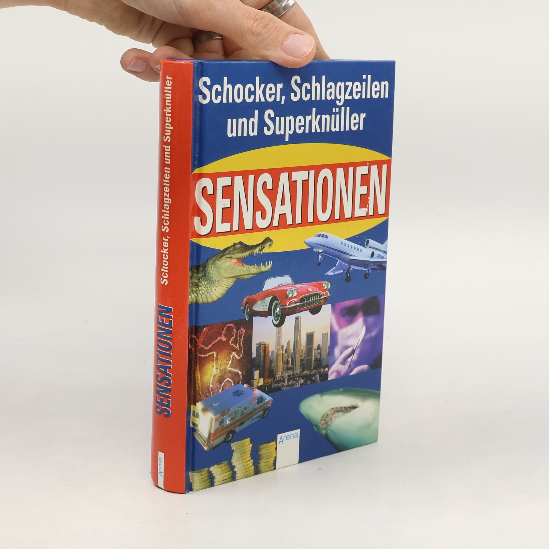Sabine Geier Leisch Sensationen