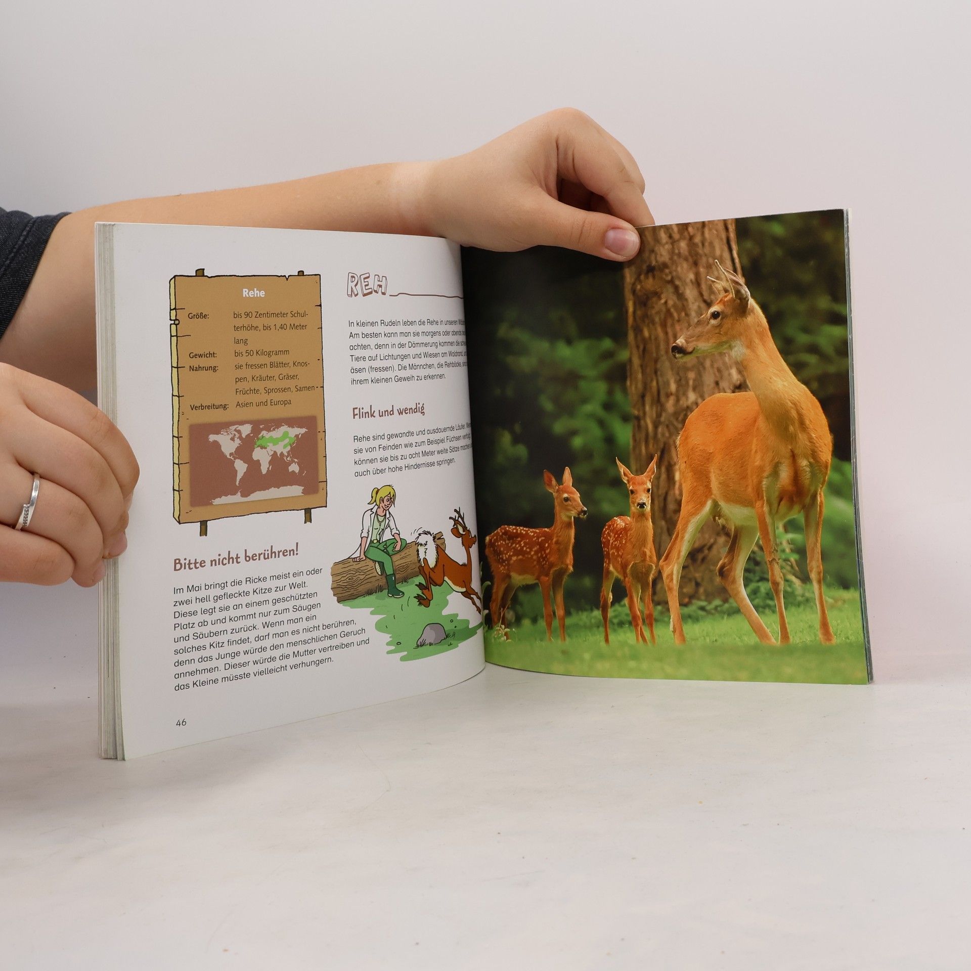 Kolektiv autorů Zootiere