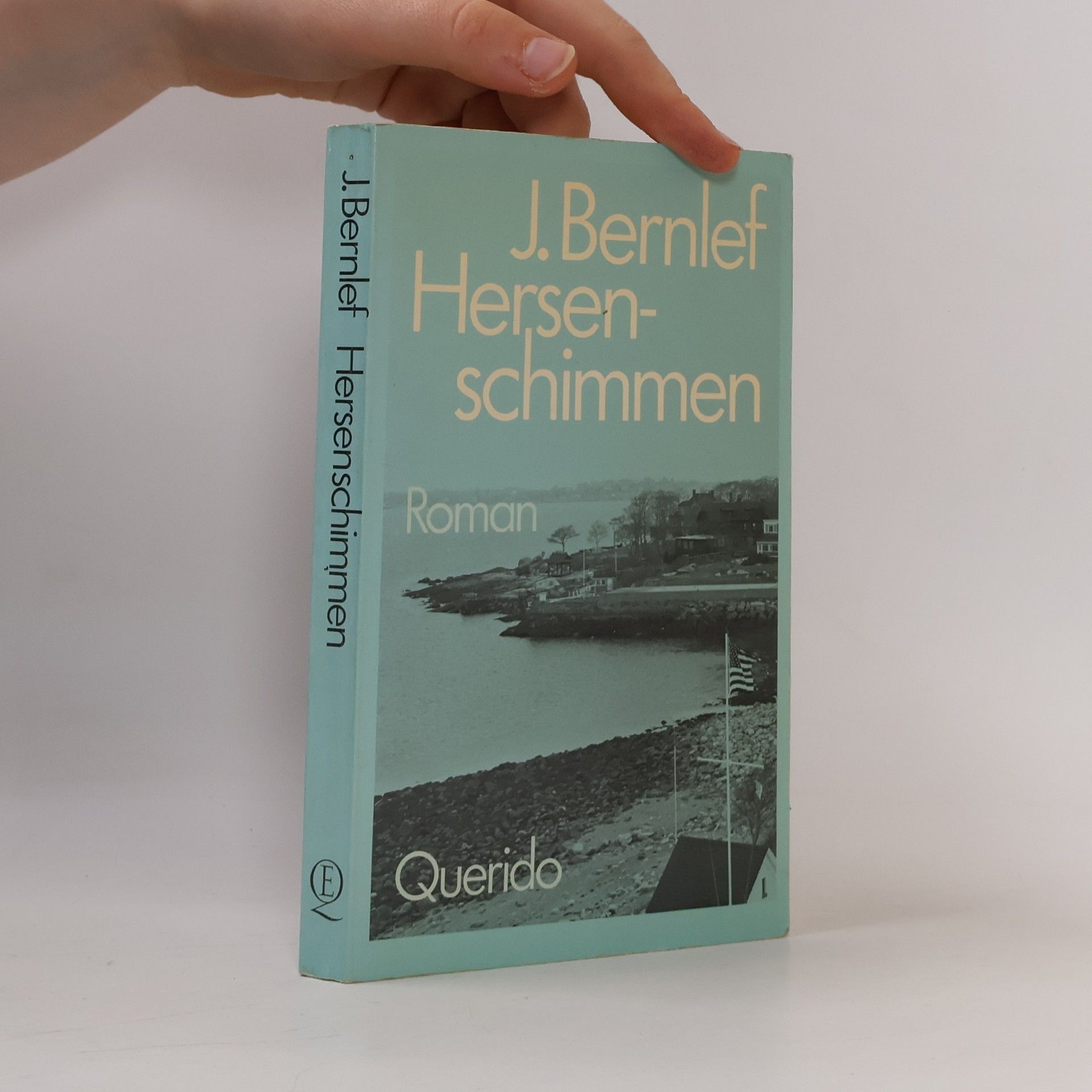 J. Bernlef Hersenschimmen