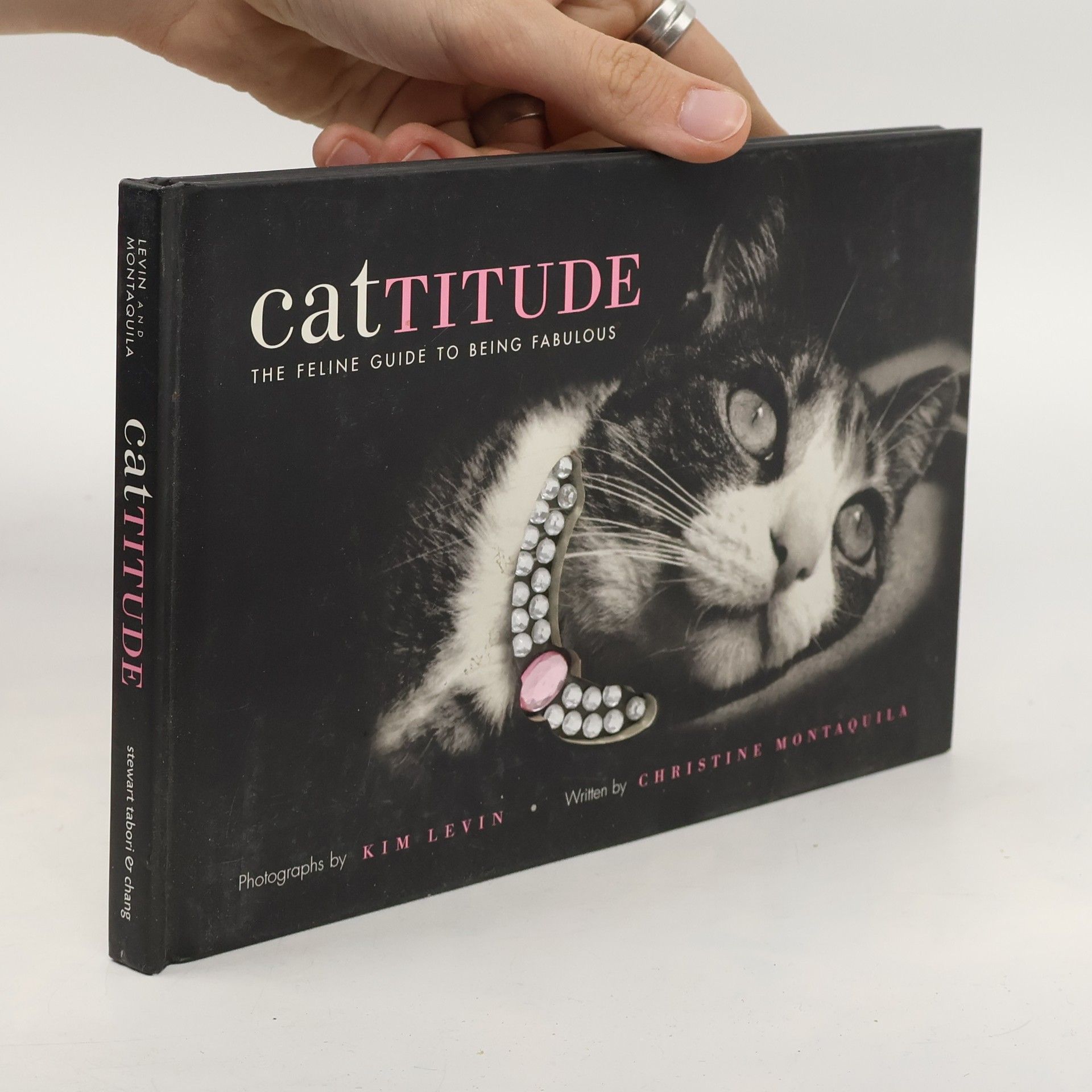 Christine Montaquila Cattitude