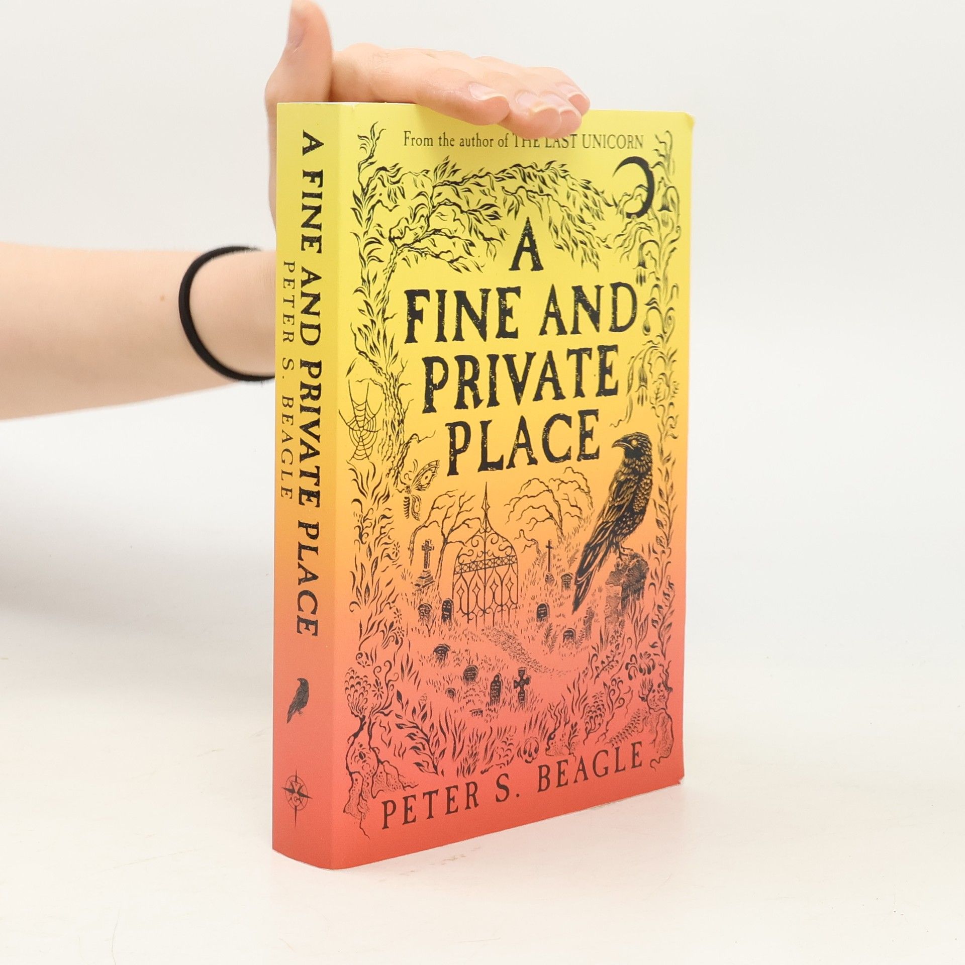 Peter S. Beagle A Fine and Private Place