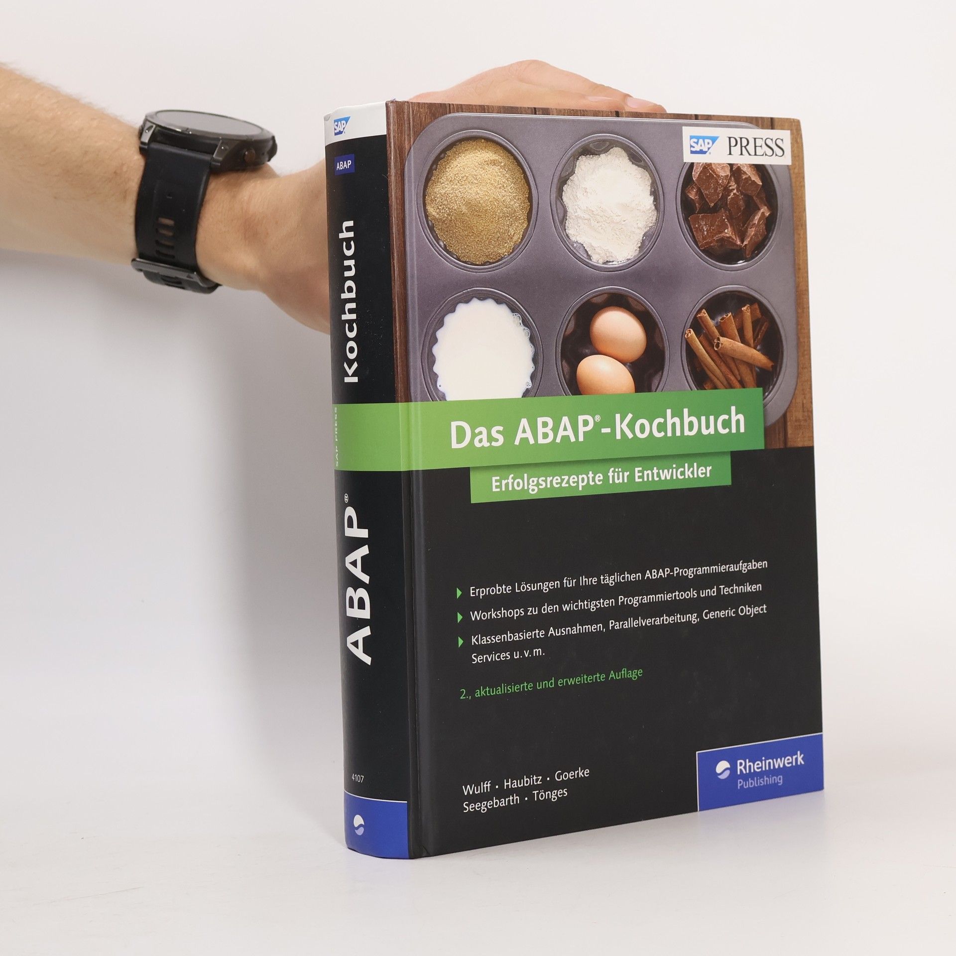 Dennis Goerke Das ABAP-Kochbuch