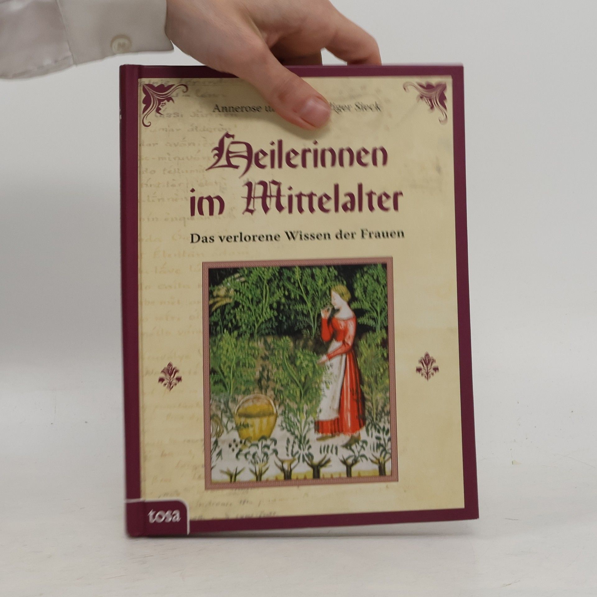 Annerose Sieck Heilerinnen im Mittelalter