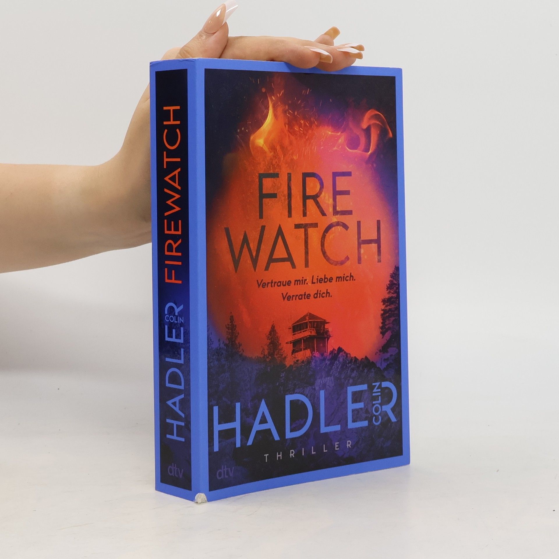 Colin Hadler Firewatch
