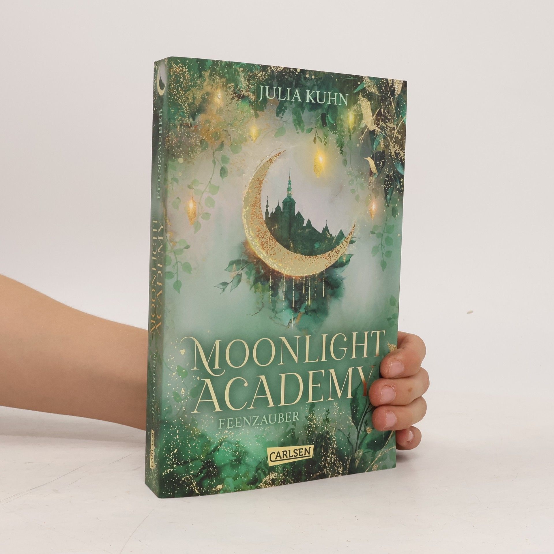 Julia Kuhn Moonlight Academy. Feenzauber