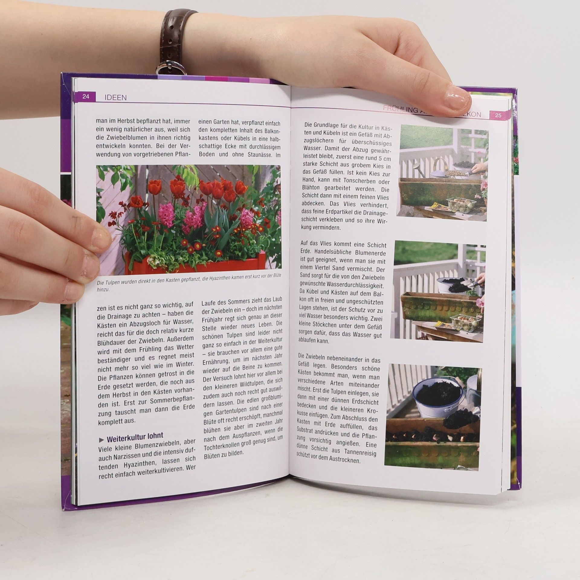 Autorenkollektiv Blumenzwiebeln und blühende Knollen