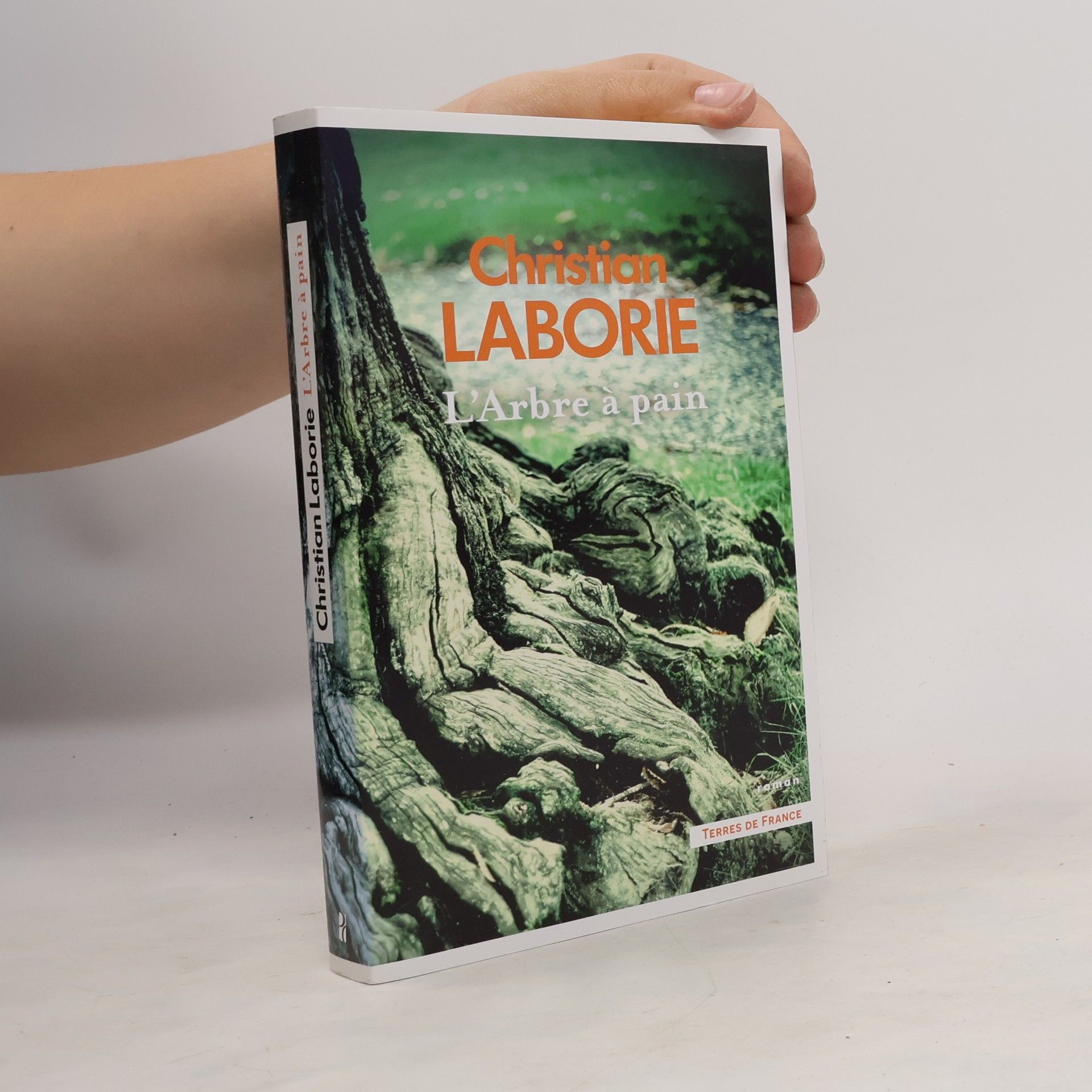 Christian Laborie L'Arbre à pain