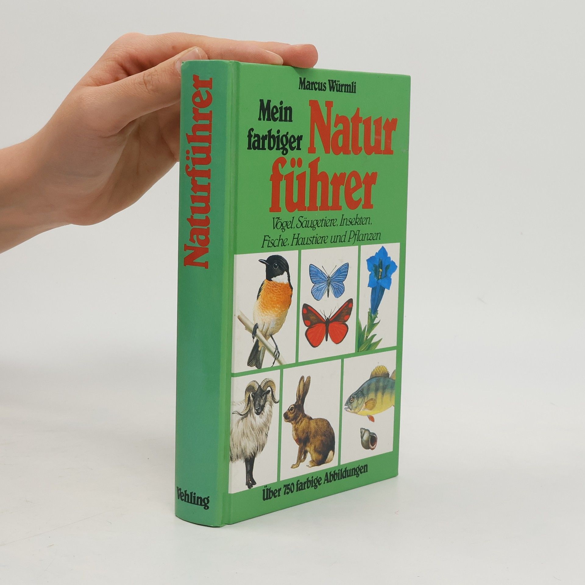 Mein farbiger Naturführer