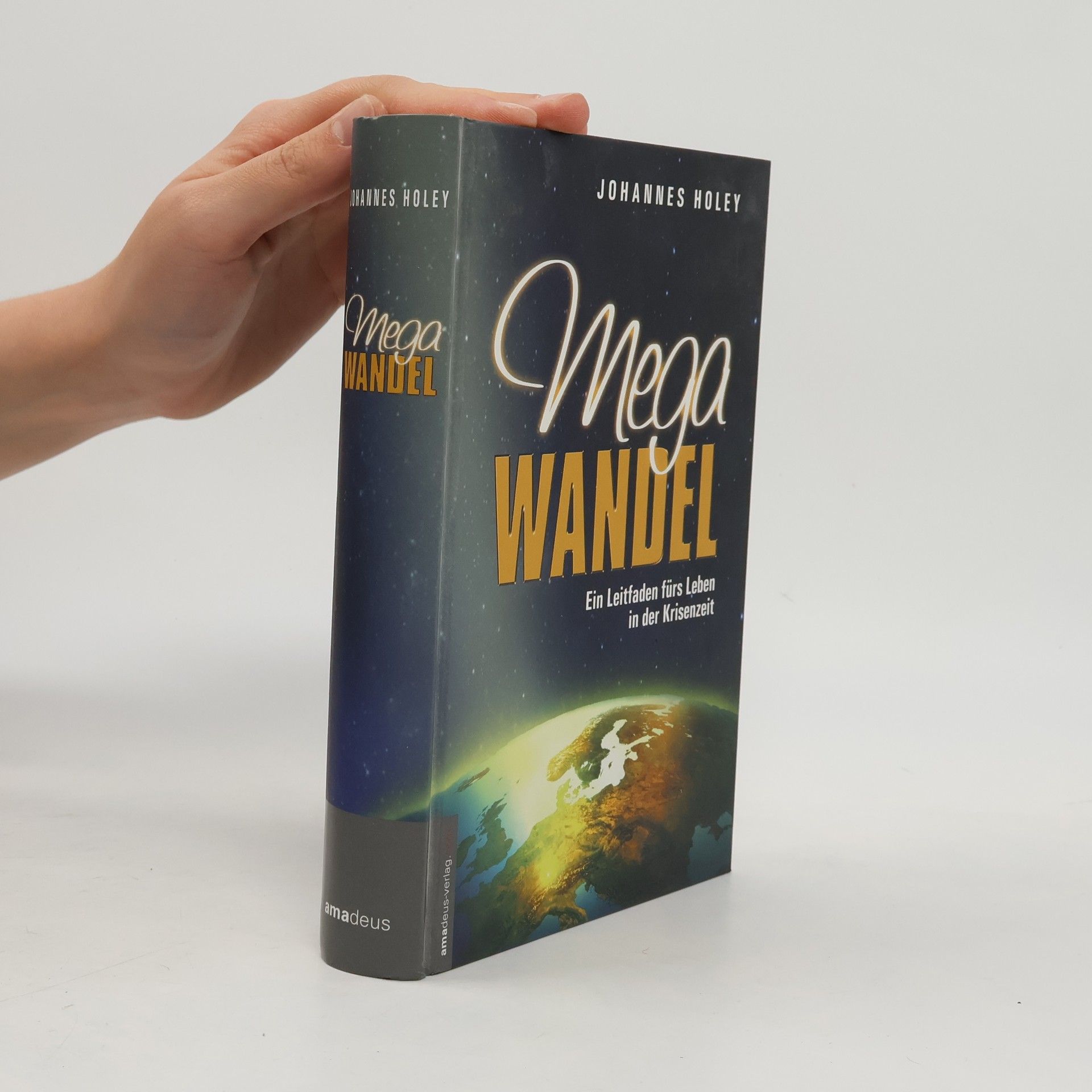 Mega Wandel