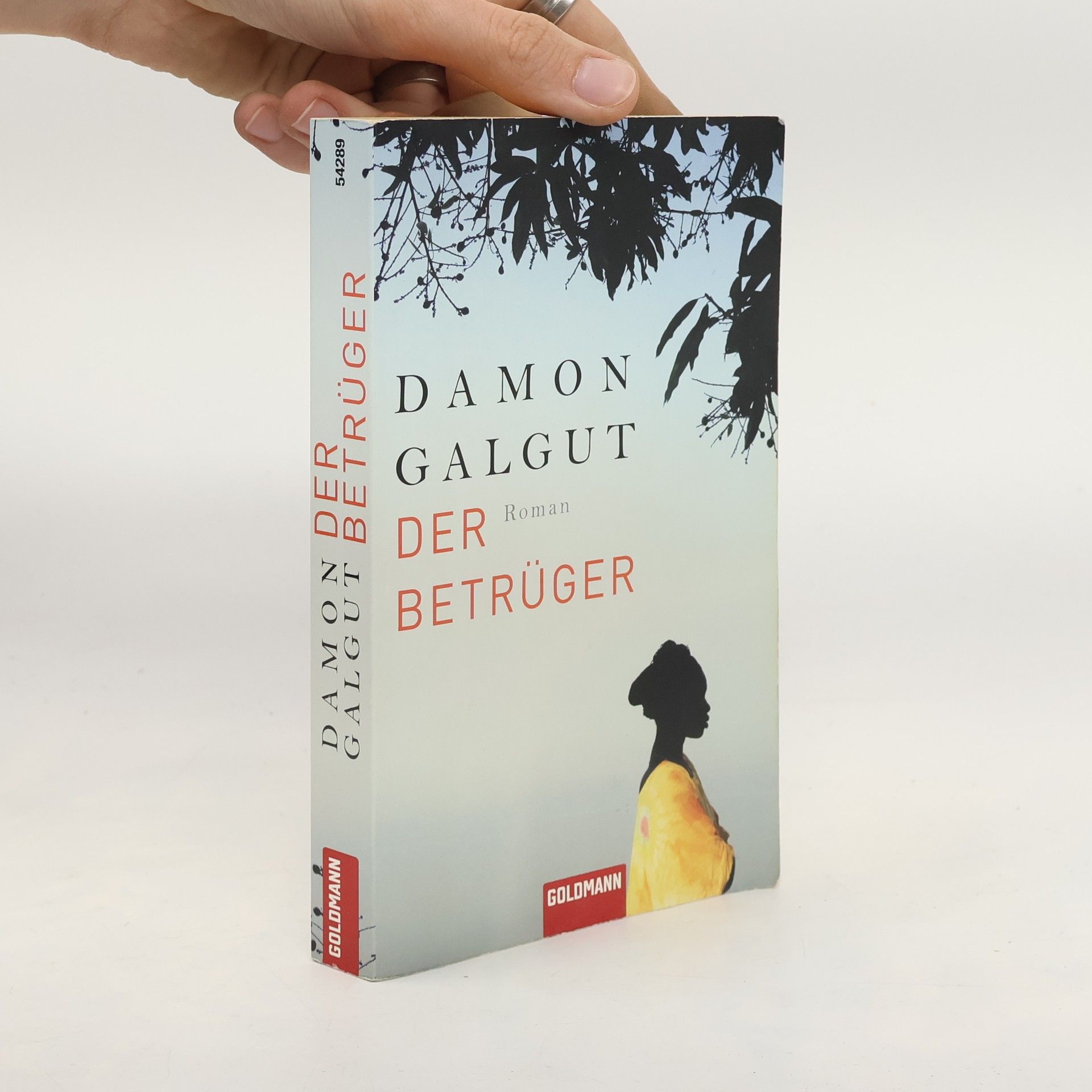 Damon Galgut Der Betrüger