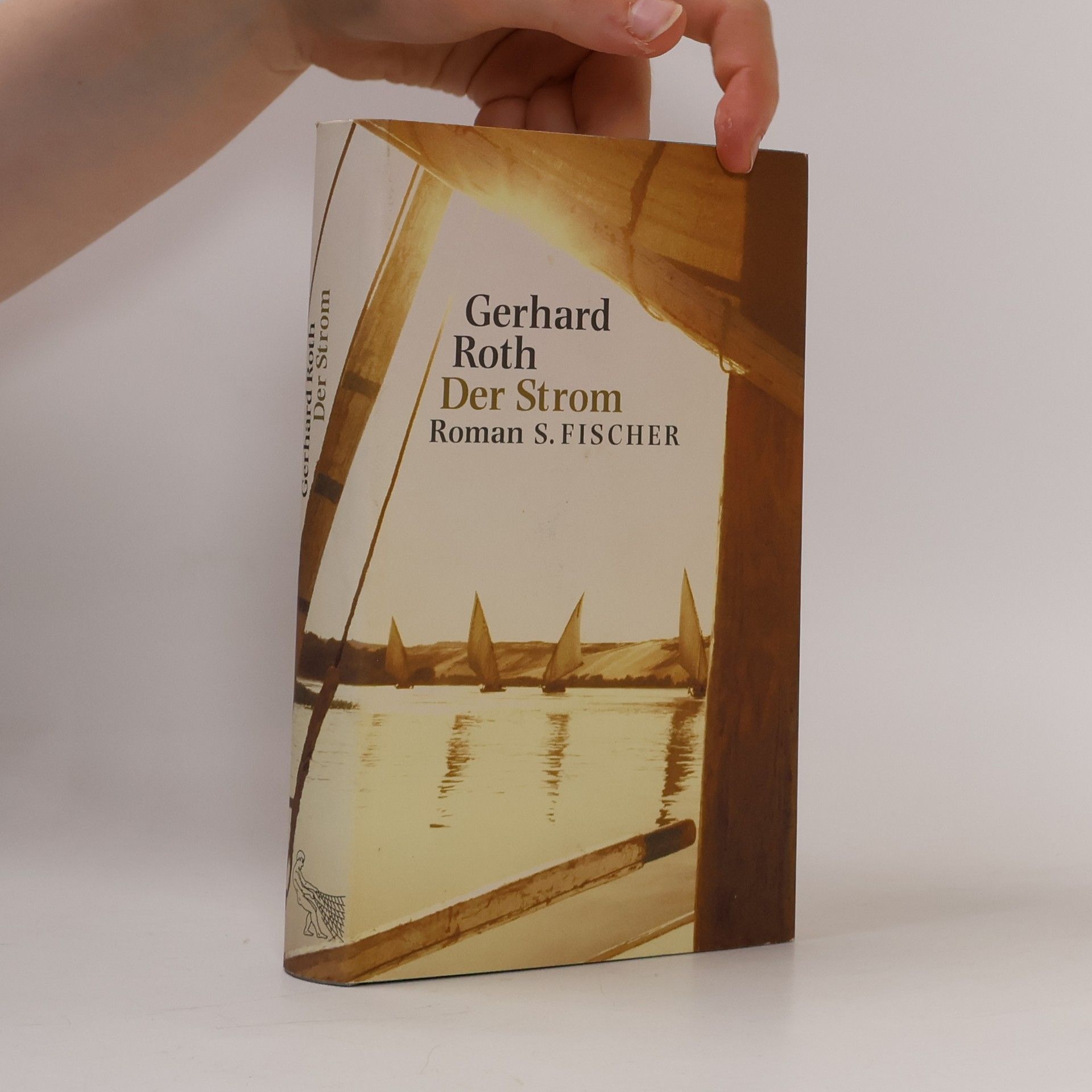 Gerhard Roth Der Strom