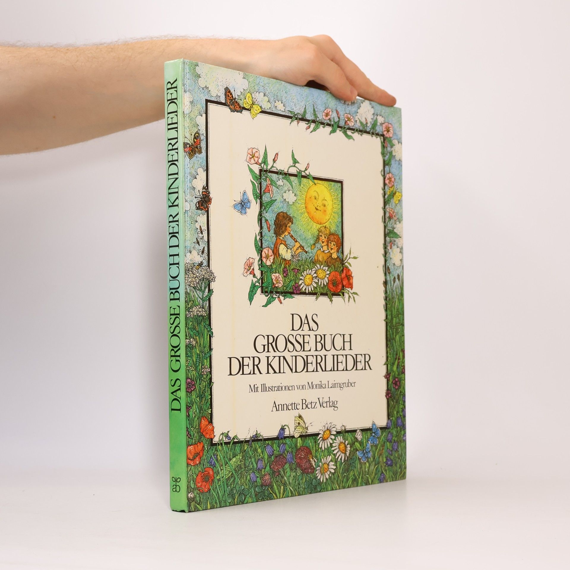 Das grosse Buch der Kinderlieder