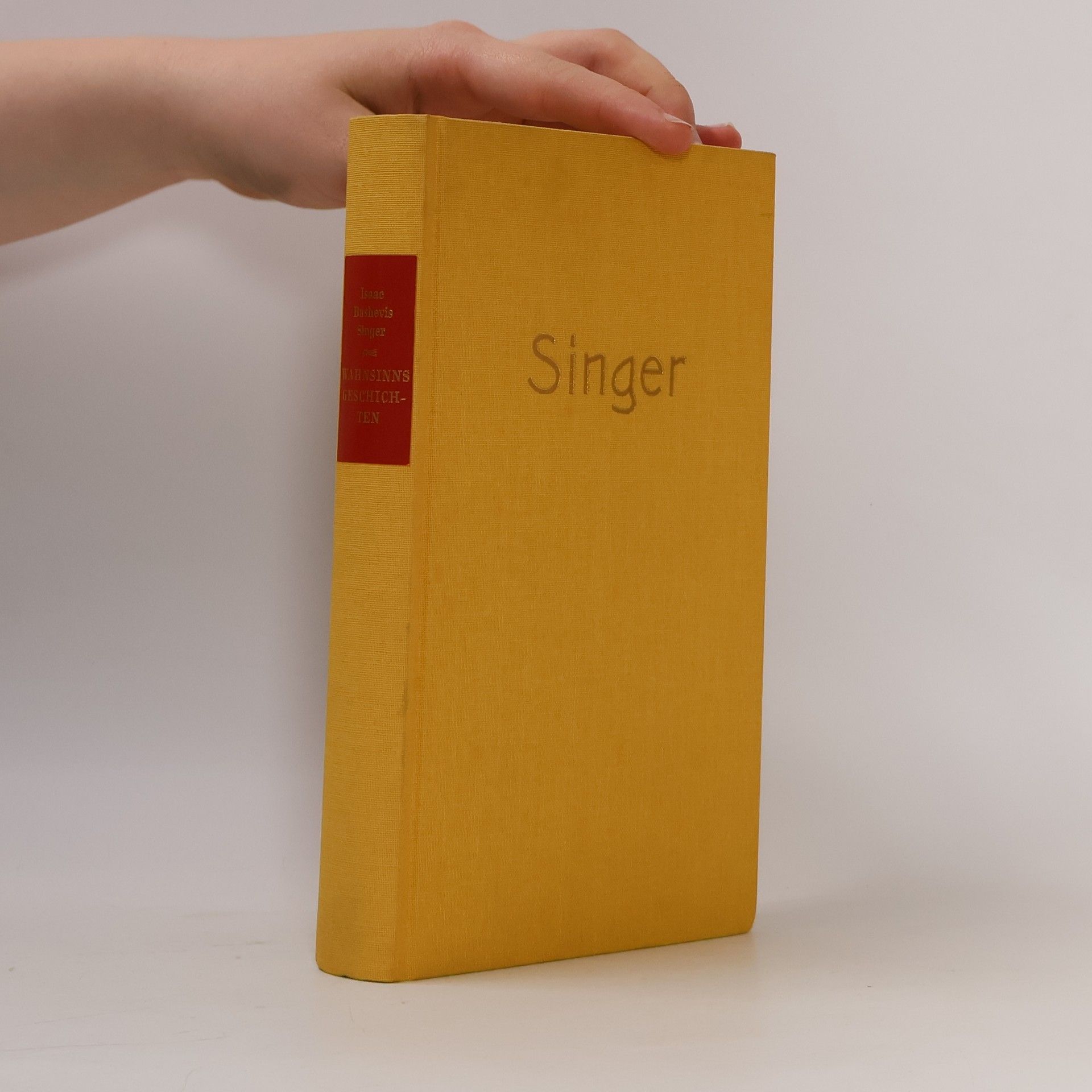 Isaac Bashevis Singer Wahnsinnsgeschichten