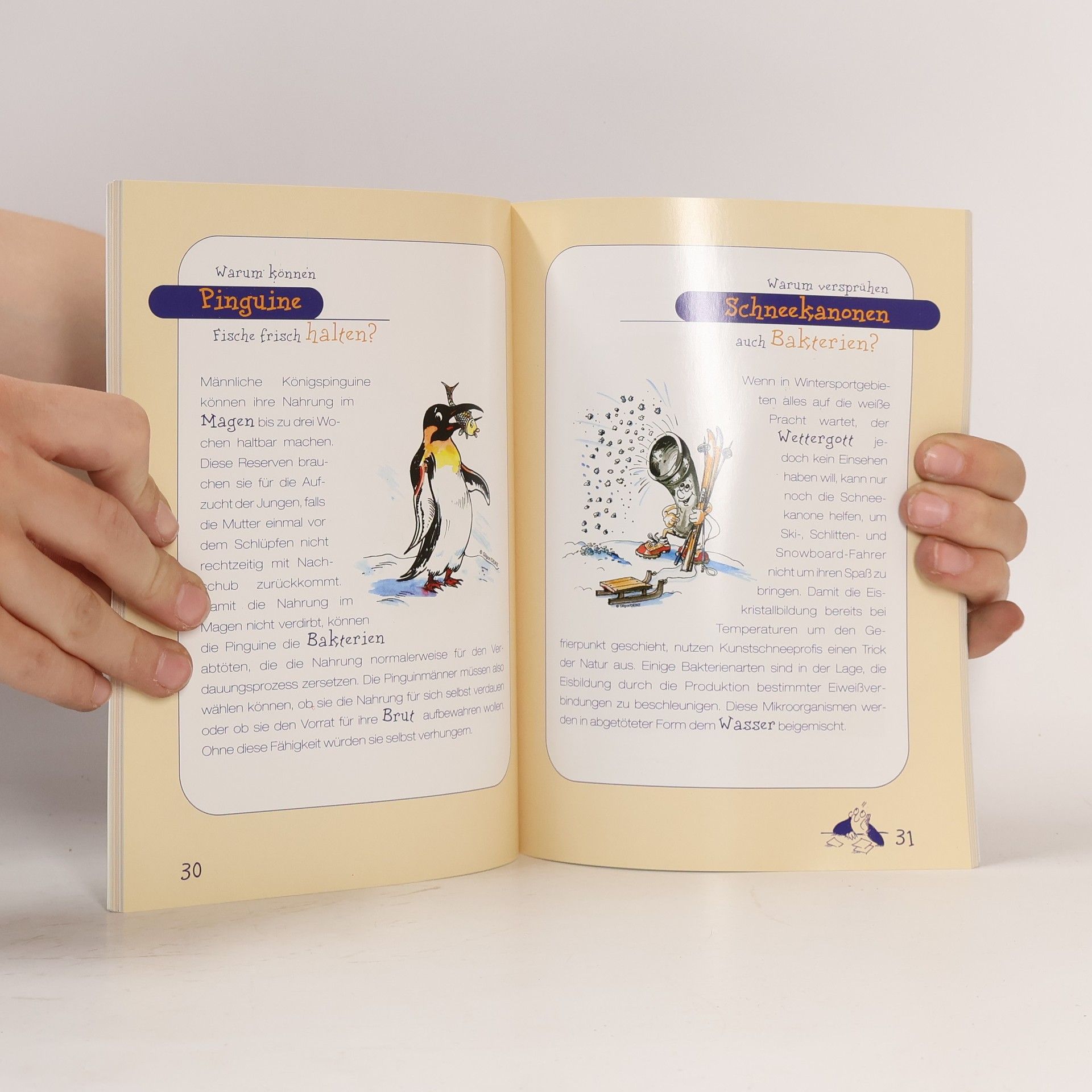 Autorenkollektiv 1000 mal warum