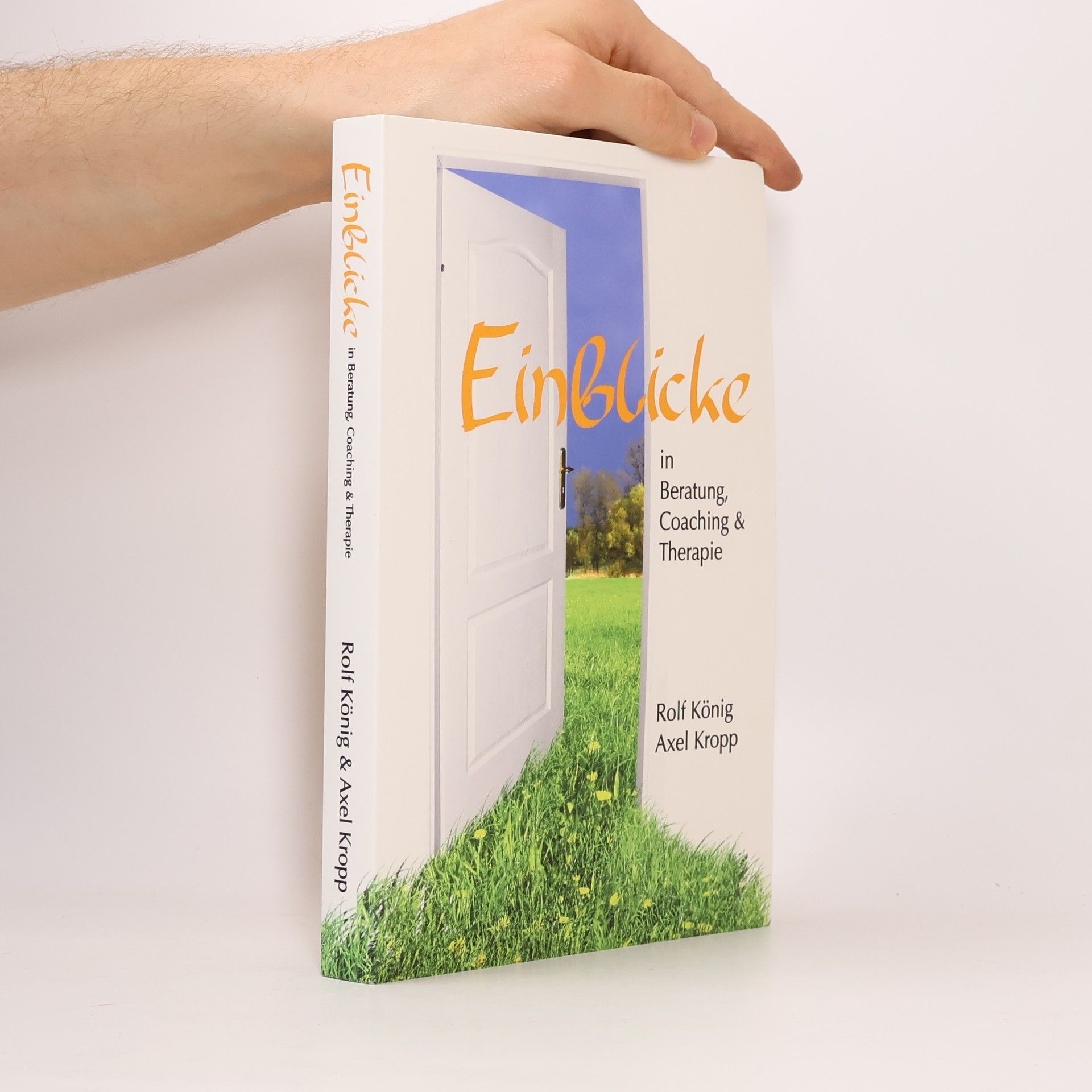 Axel Kropp Einblicke in Beratung, Coaching & Therapie