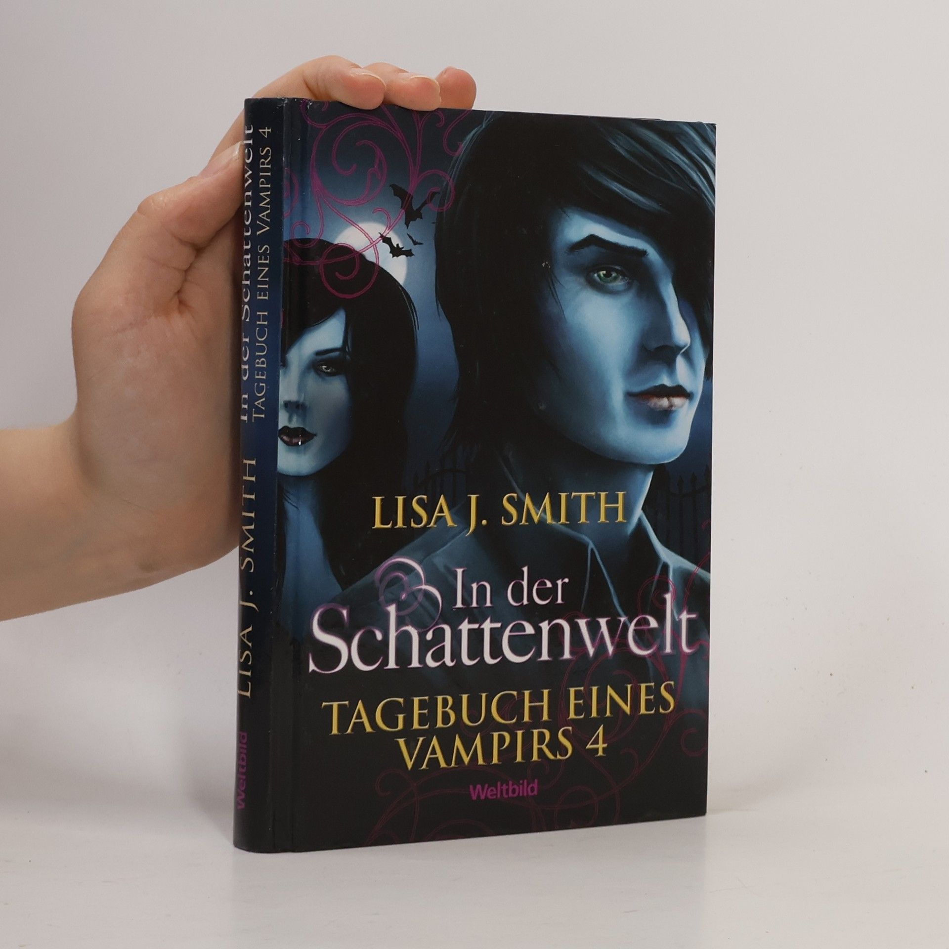 L. J. Smithová  Tagebuch eines Vampirs 4. In der Schattenwelt