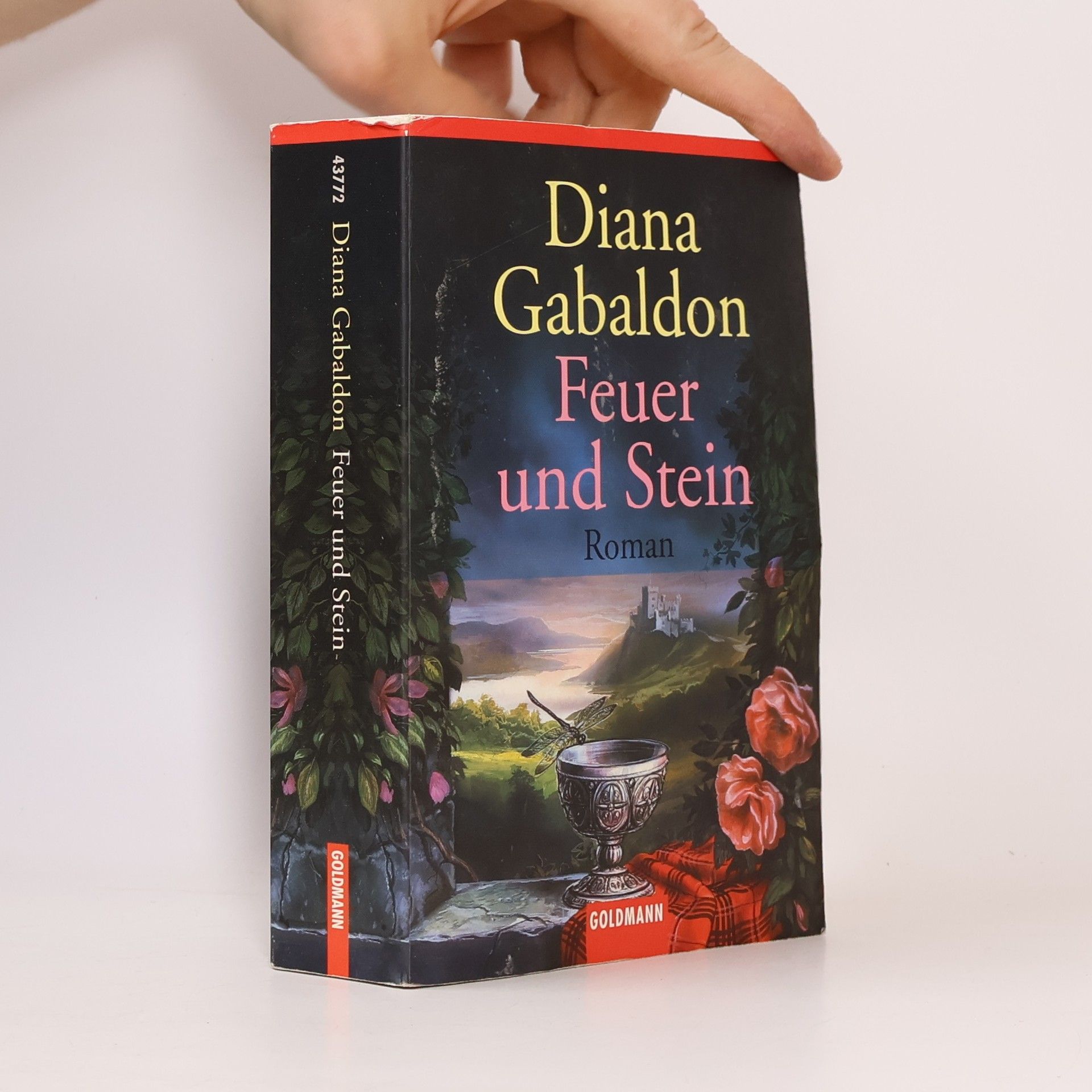 Diana Gabaldon Feuer und Stein