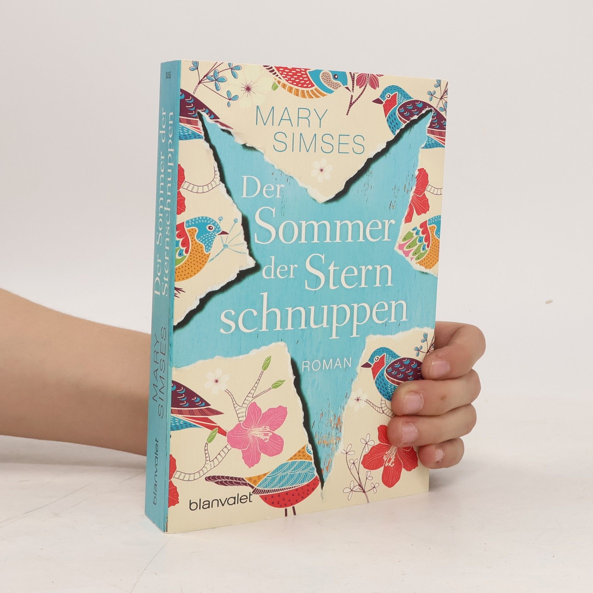 Simses Mary Der Sommer der Sternschnuppen