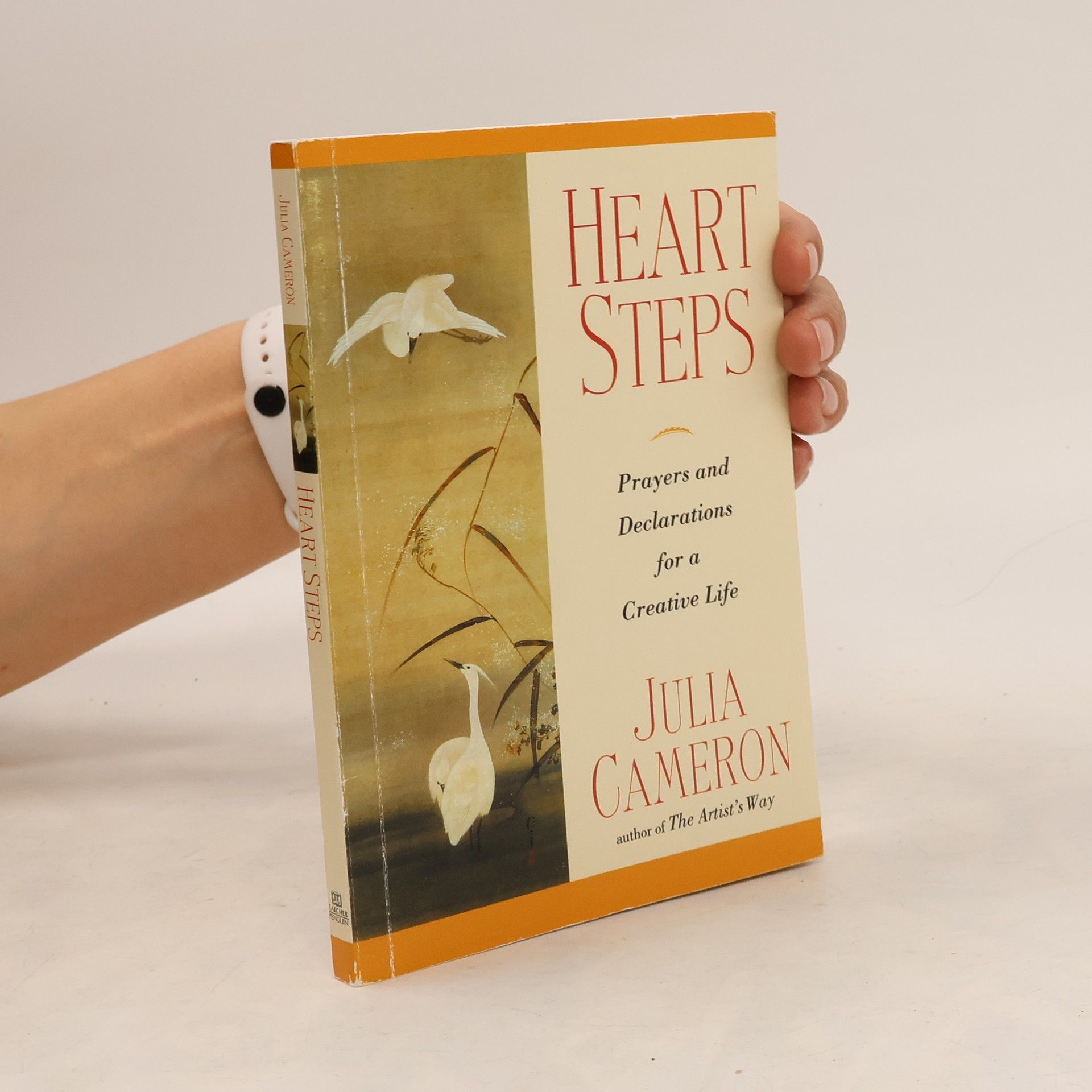Julia Cameron Heart Steps