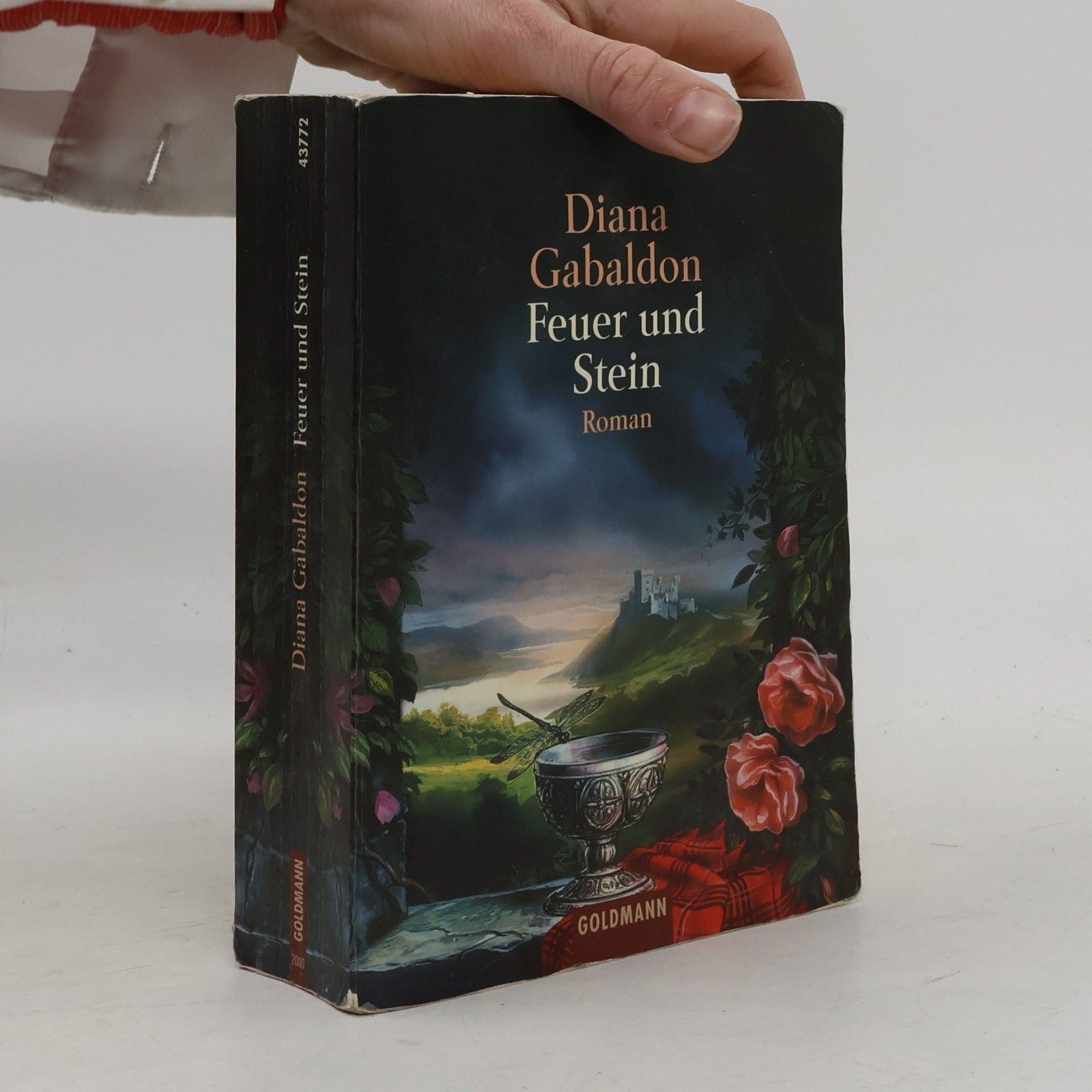 Diana Gabaldon Feuer und Stein