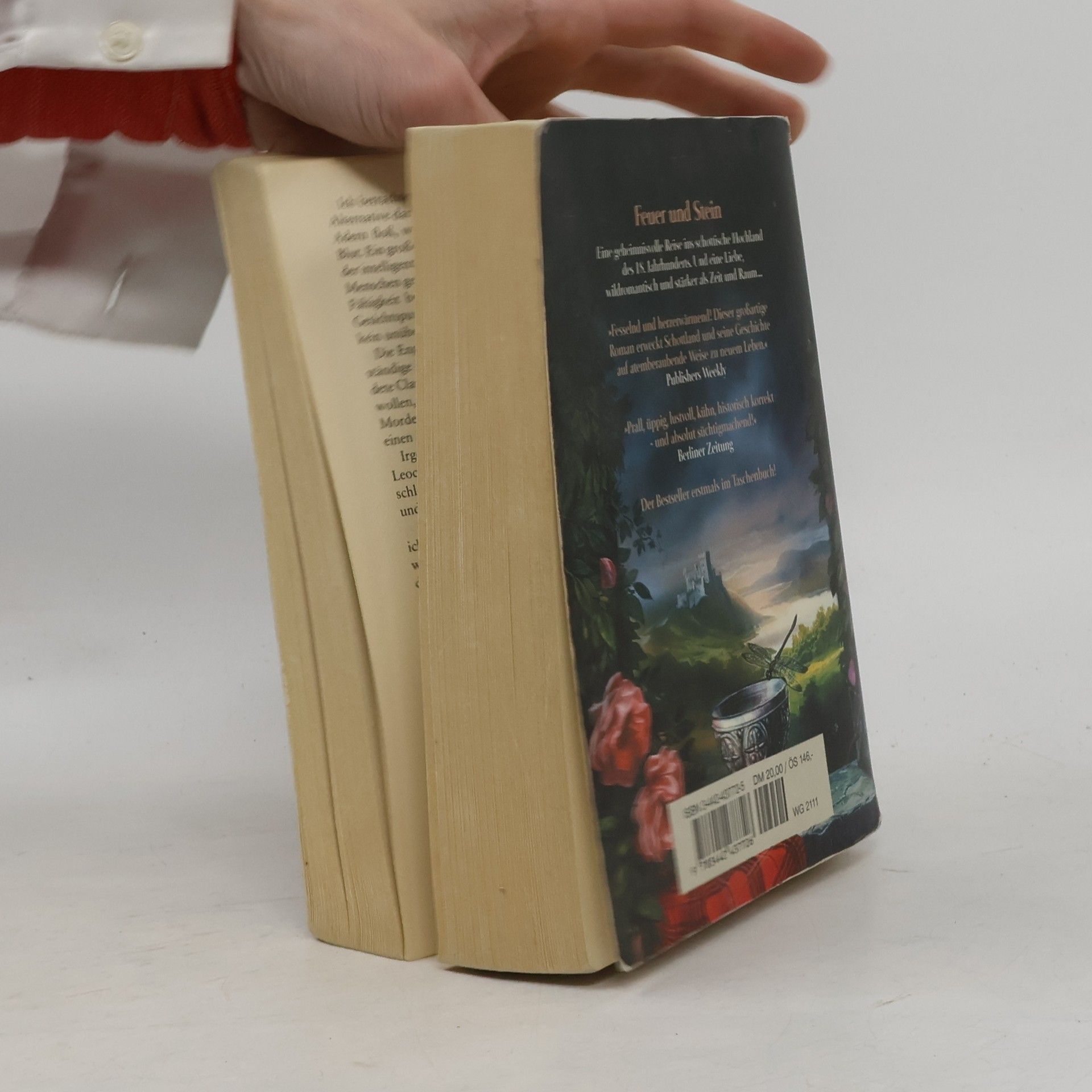 Diana Gabaldon Feuer und Stein