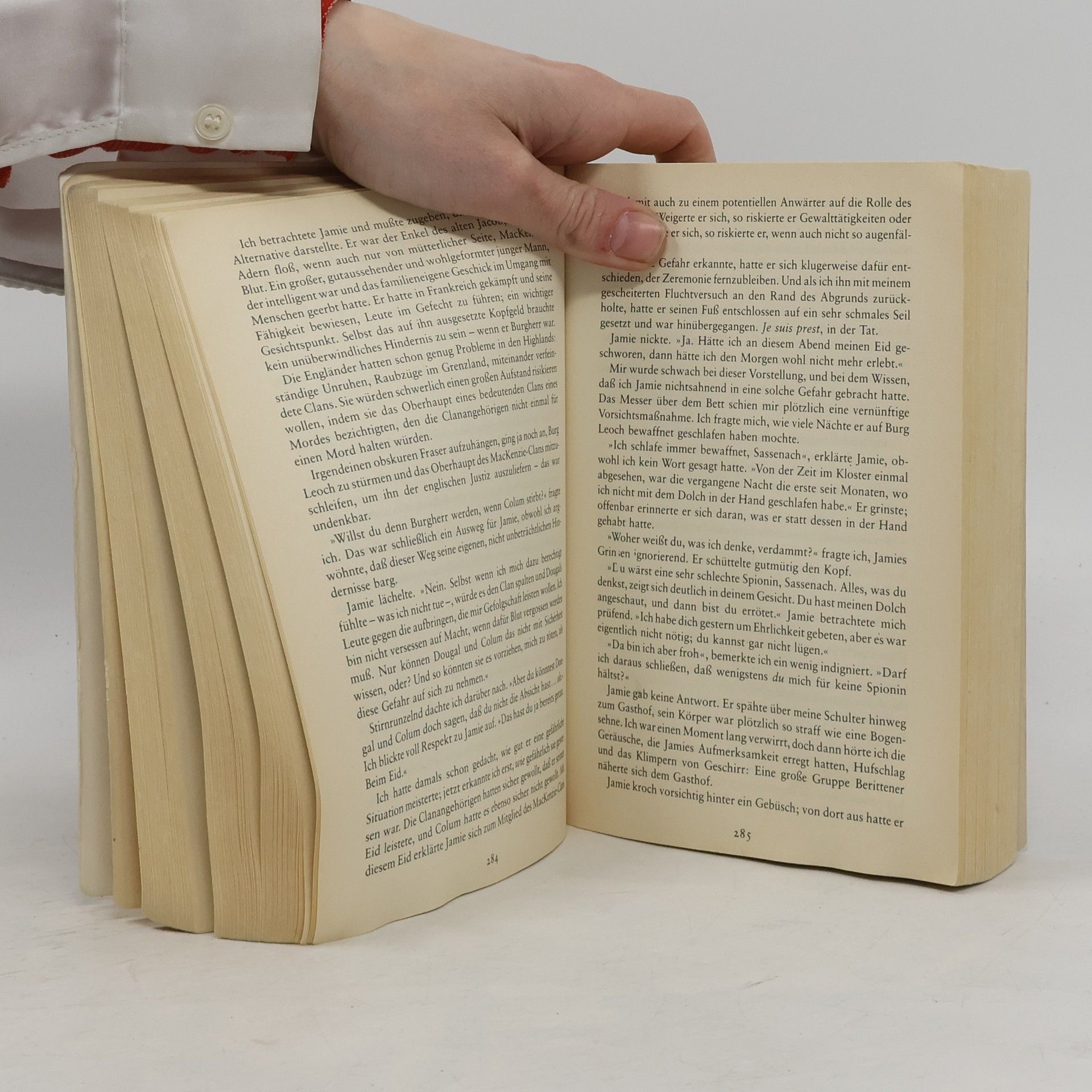 Diana Gabaldon Feuer und Stein