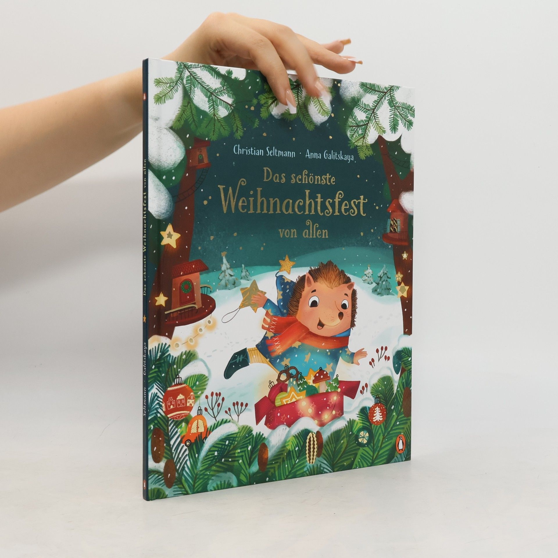 Christian Seltmann Das schönste Weihnachtsfest von allen